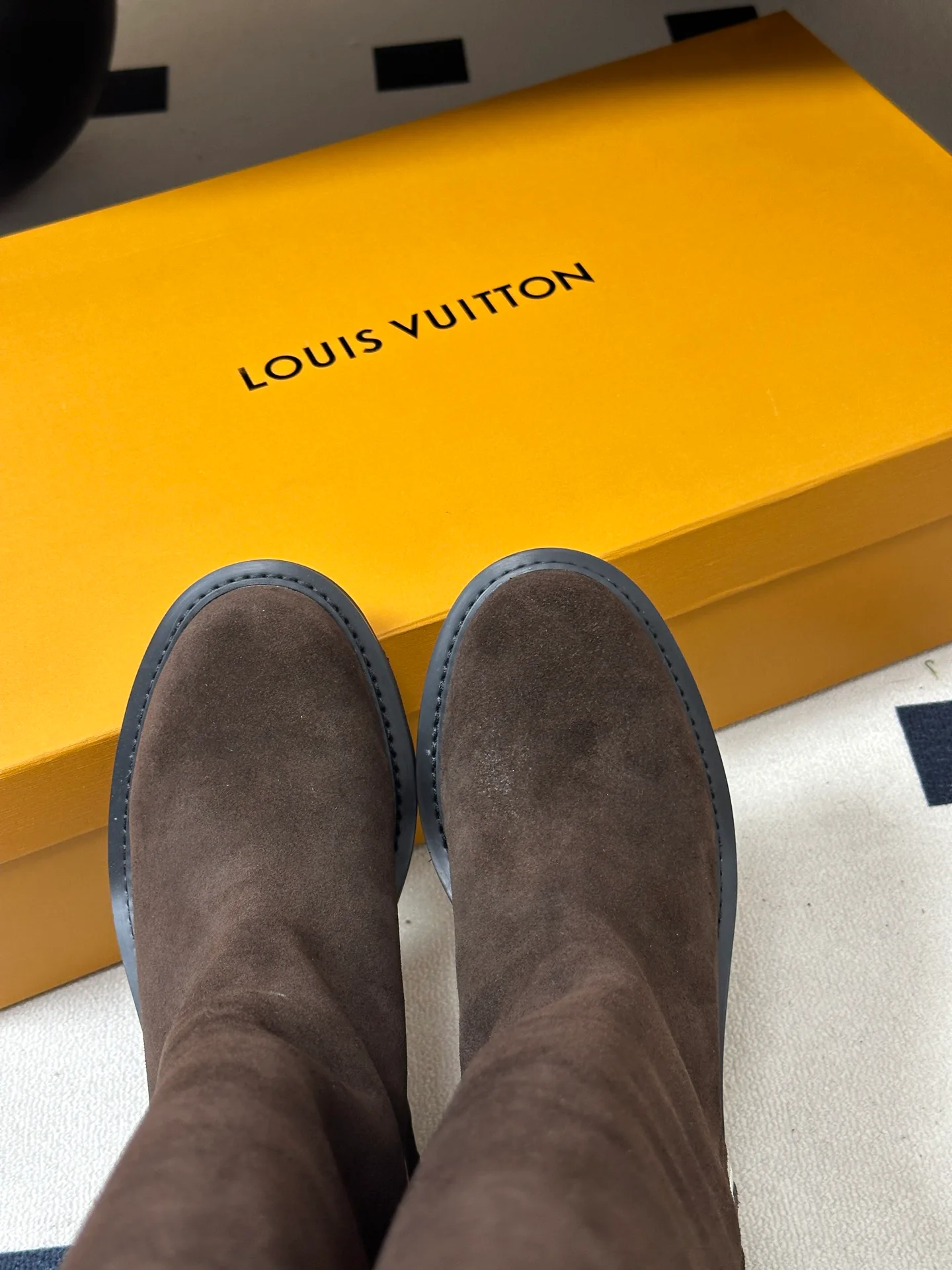 Сапоги Женские Louis Vuitton 18388115