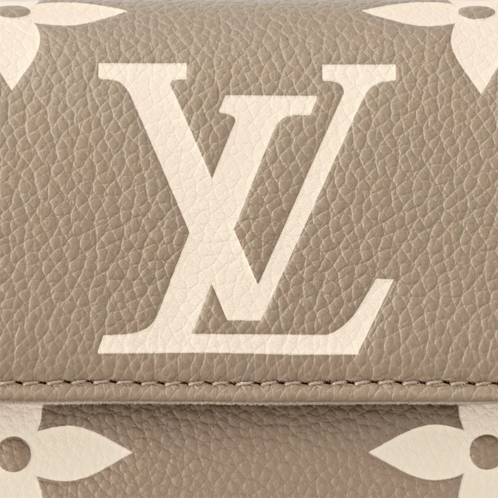 Клатчи Женские Louis Vuitton 12623282