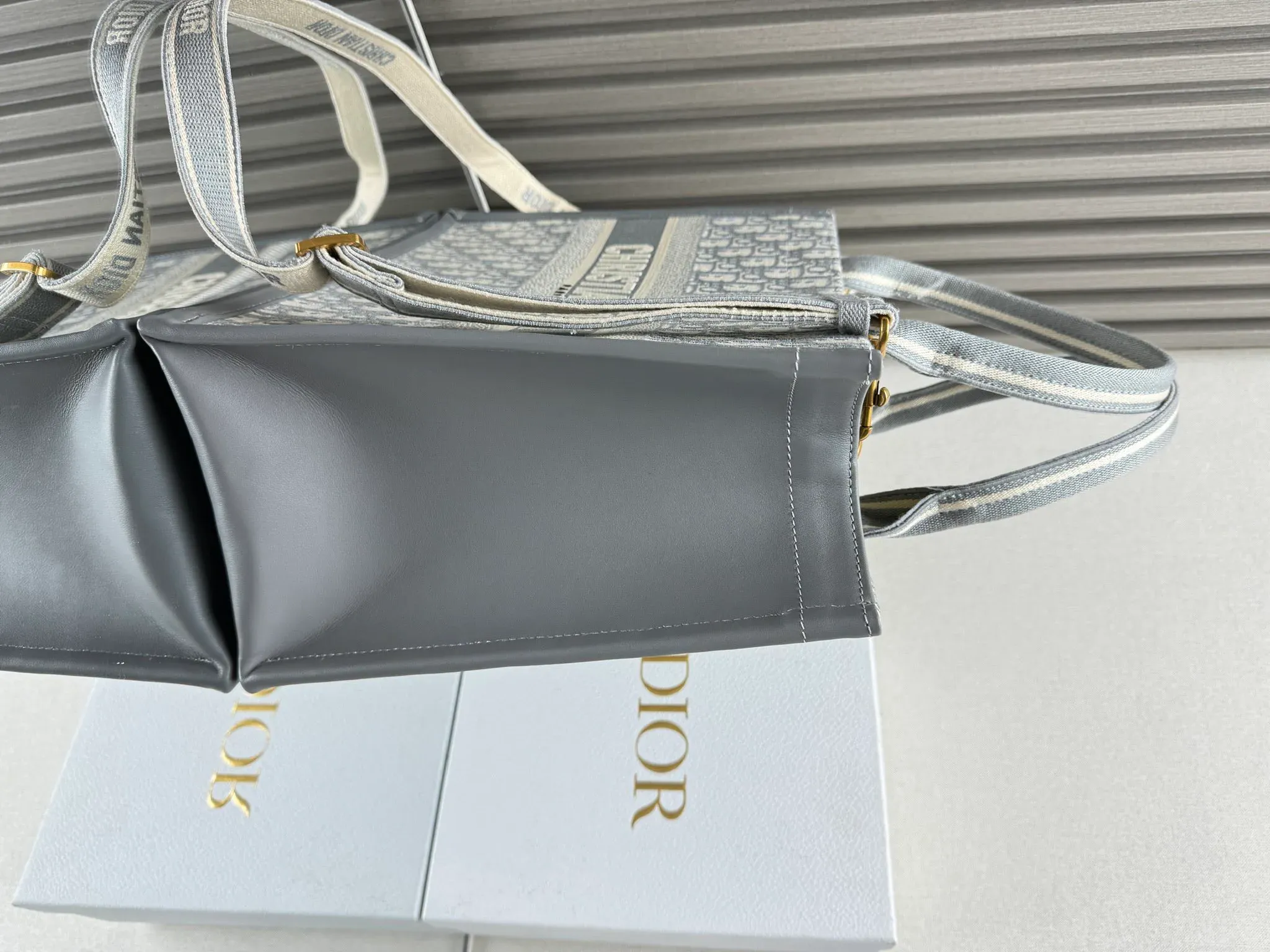 Сумки На Ремне Женские Christian Dior 167623