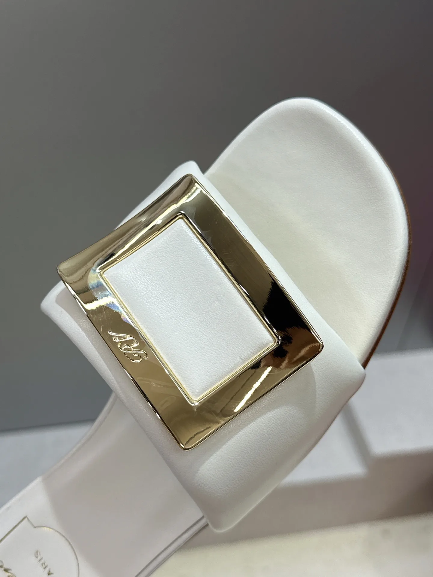 Шлепанцы Женские Roger Vivier 16910355