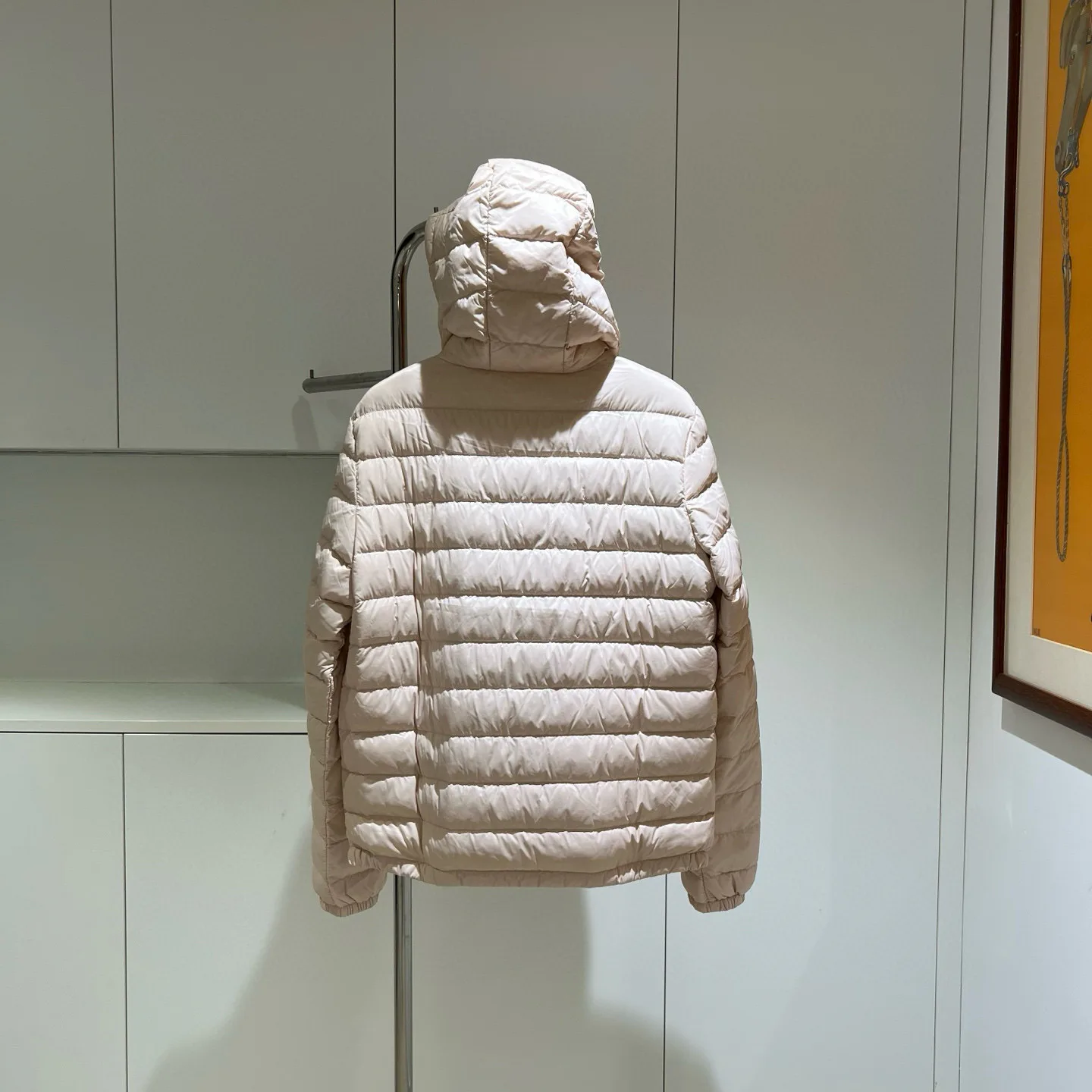 Куртки И Пуховики Женские Moncler 18180099