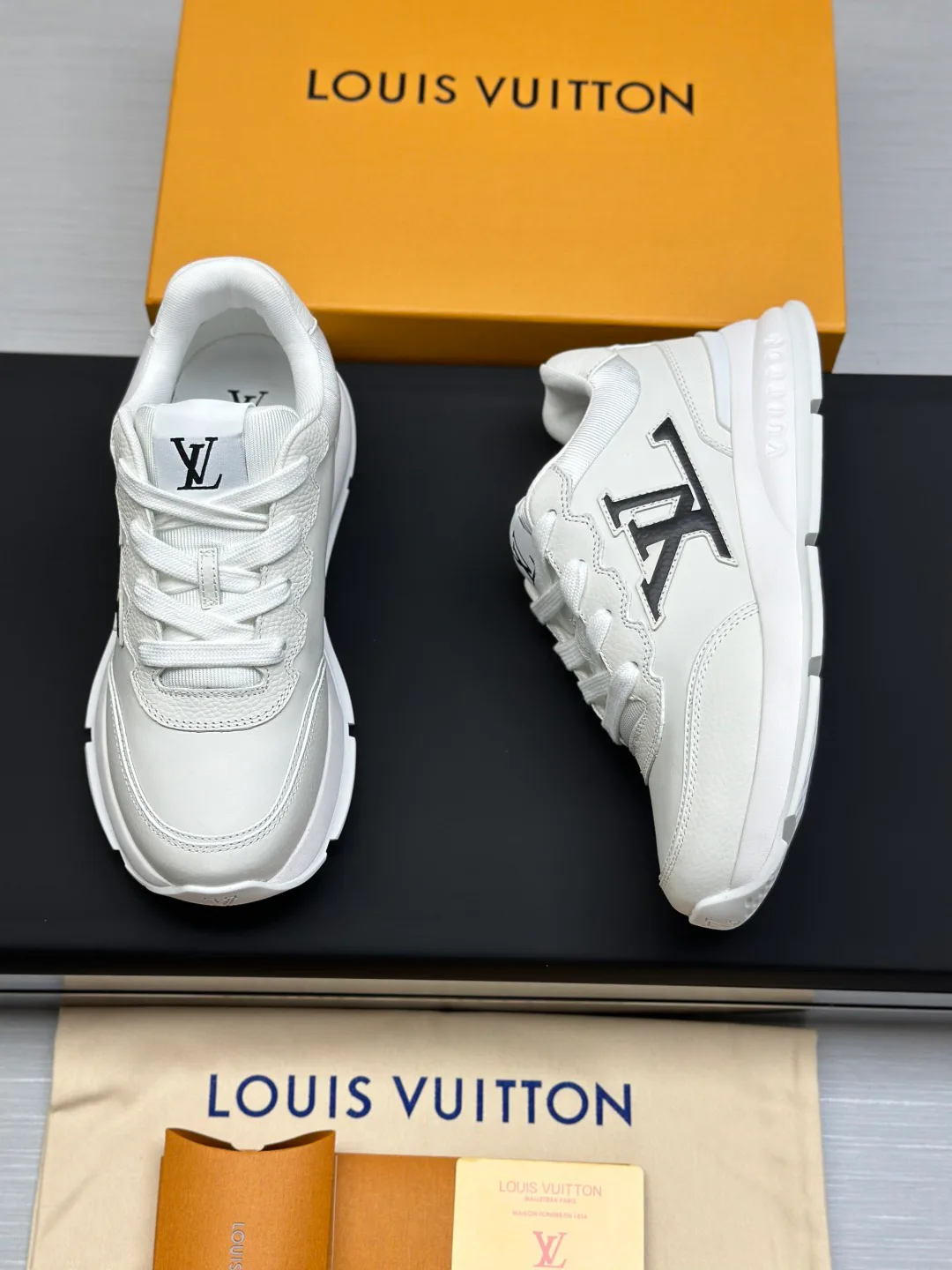 Кроссовки Мужские Louis Vuitton 11161986