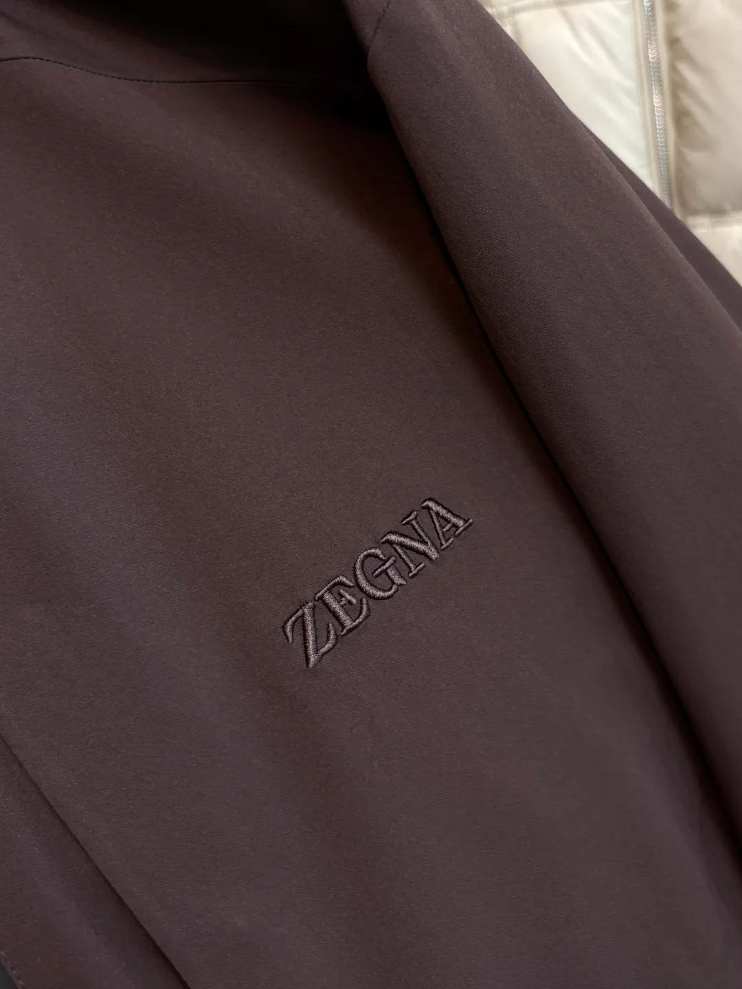 Куртки И Пуховики Мужские Zegna 18199477
