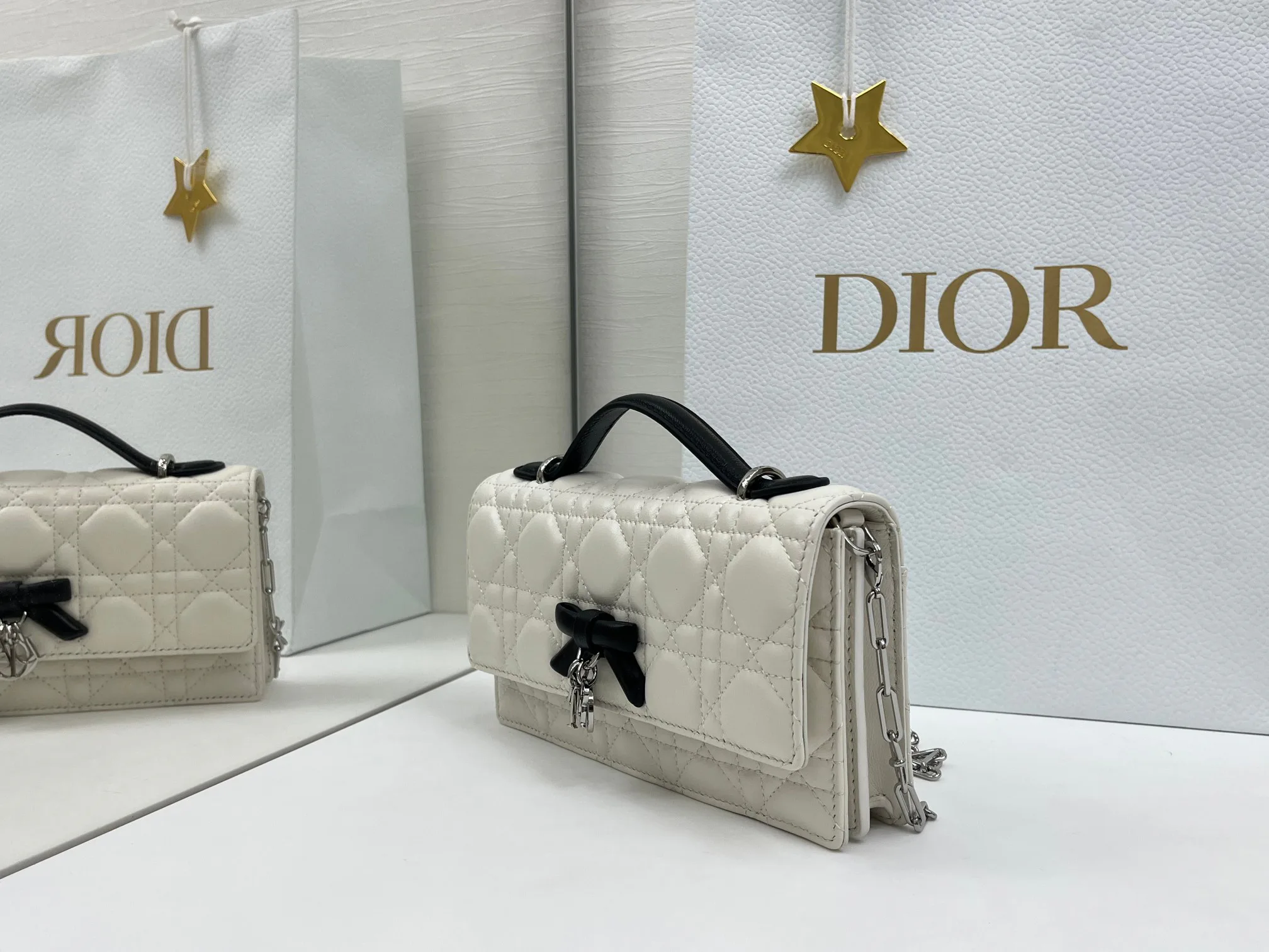 Классические Сумки Женские Christian Dior 11669075