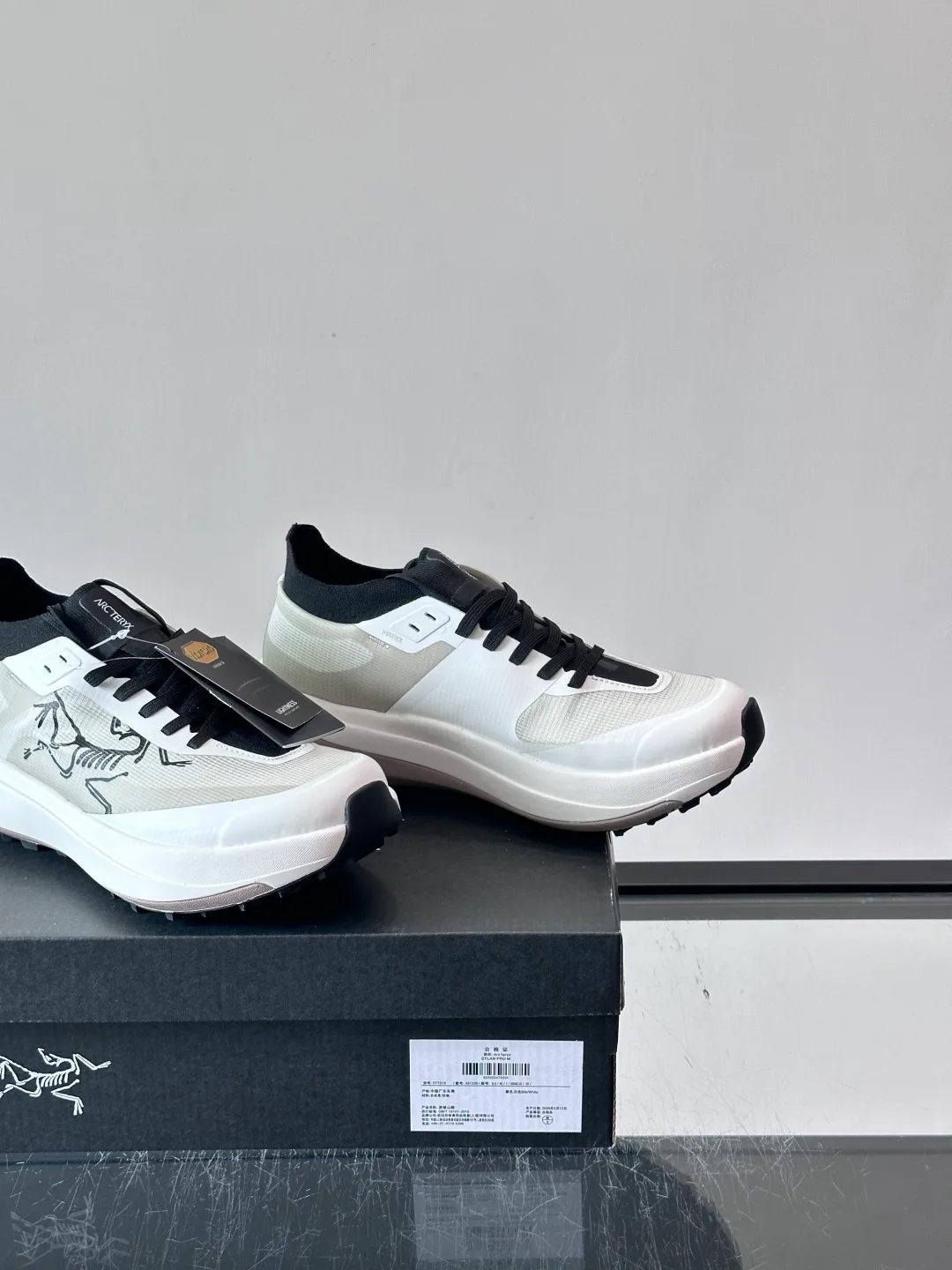 Кроссовки Мужские Arcteryx 17542411