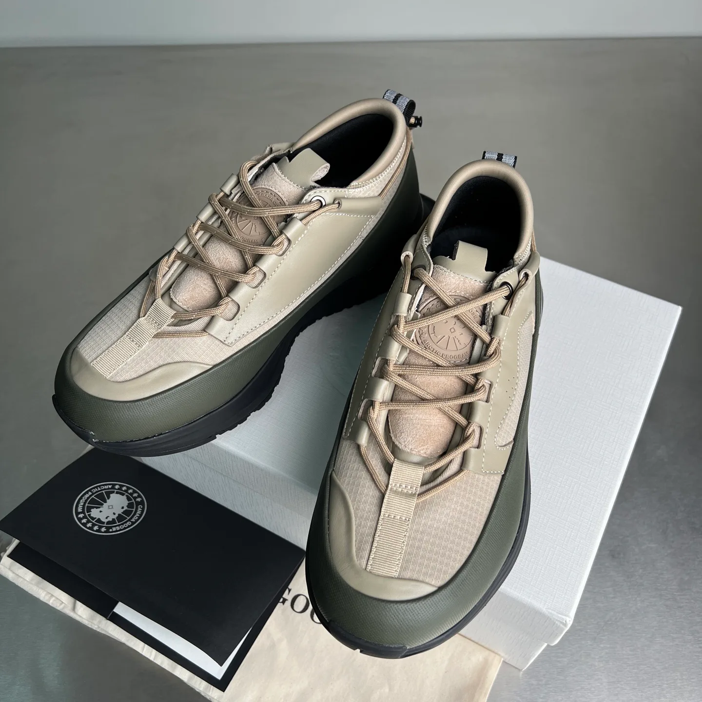 Кроссовки Мужские Canada Goose 25181