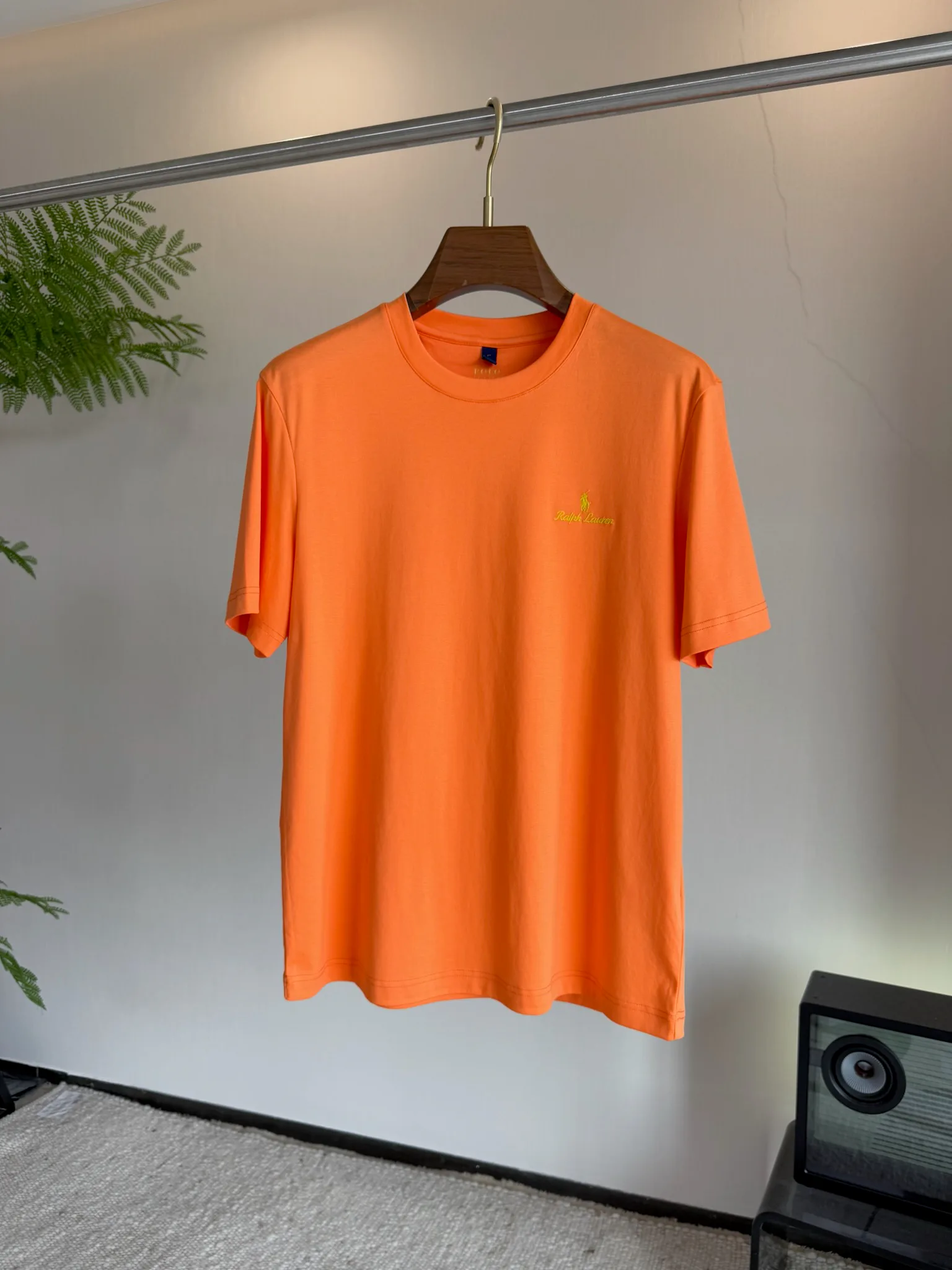 Футболки Мужские Ralph Lauren 12844158