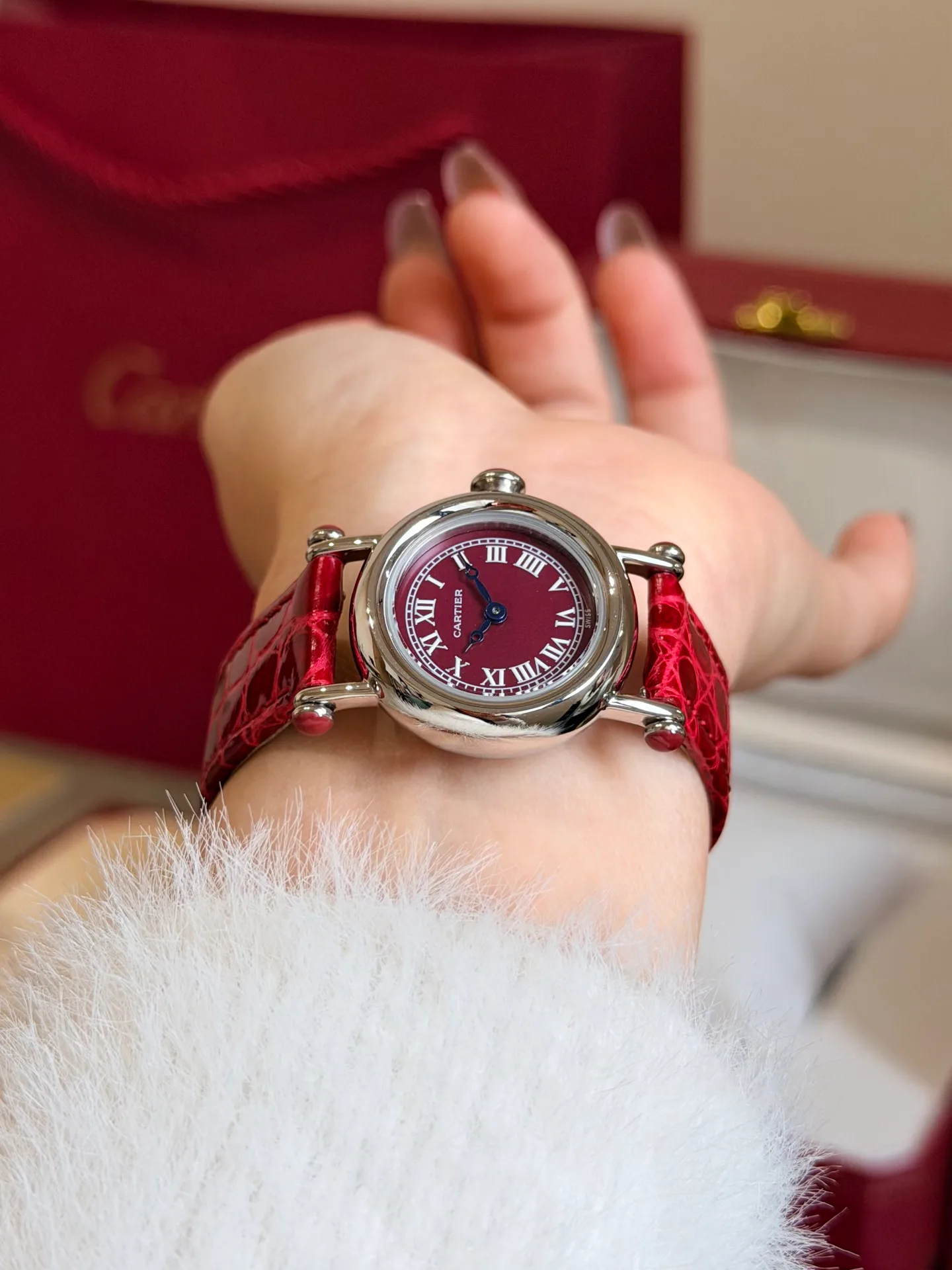 Часы Женские Cartier 18603711