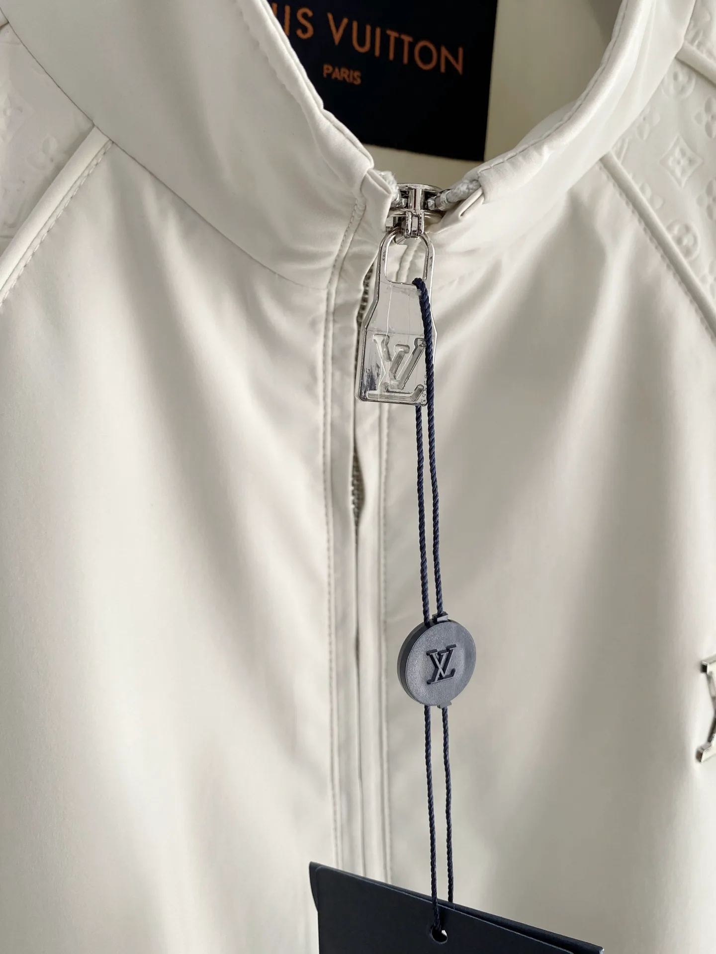 Куртки И Пуховики Мужские Louis Vuitton 4848765