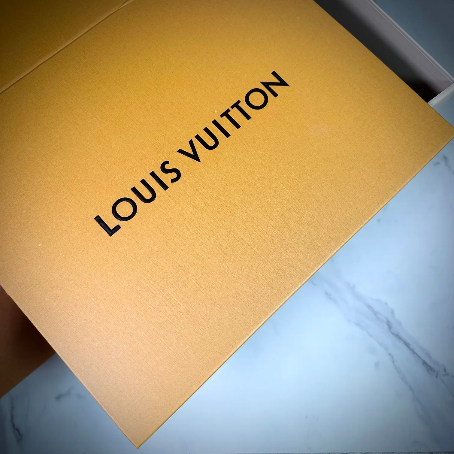 Кроссовки Женские Louis Vuitton 9158430