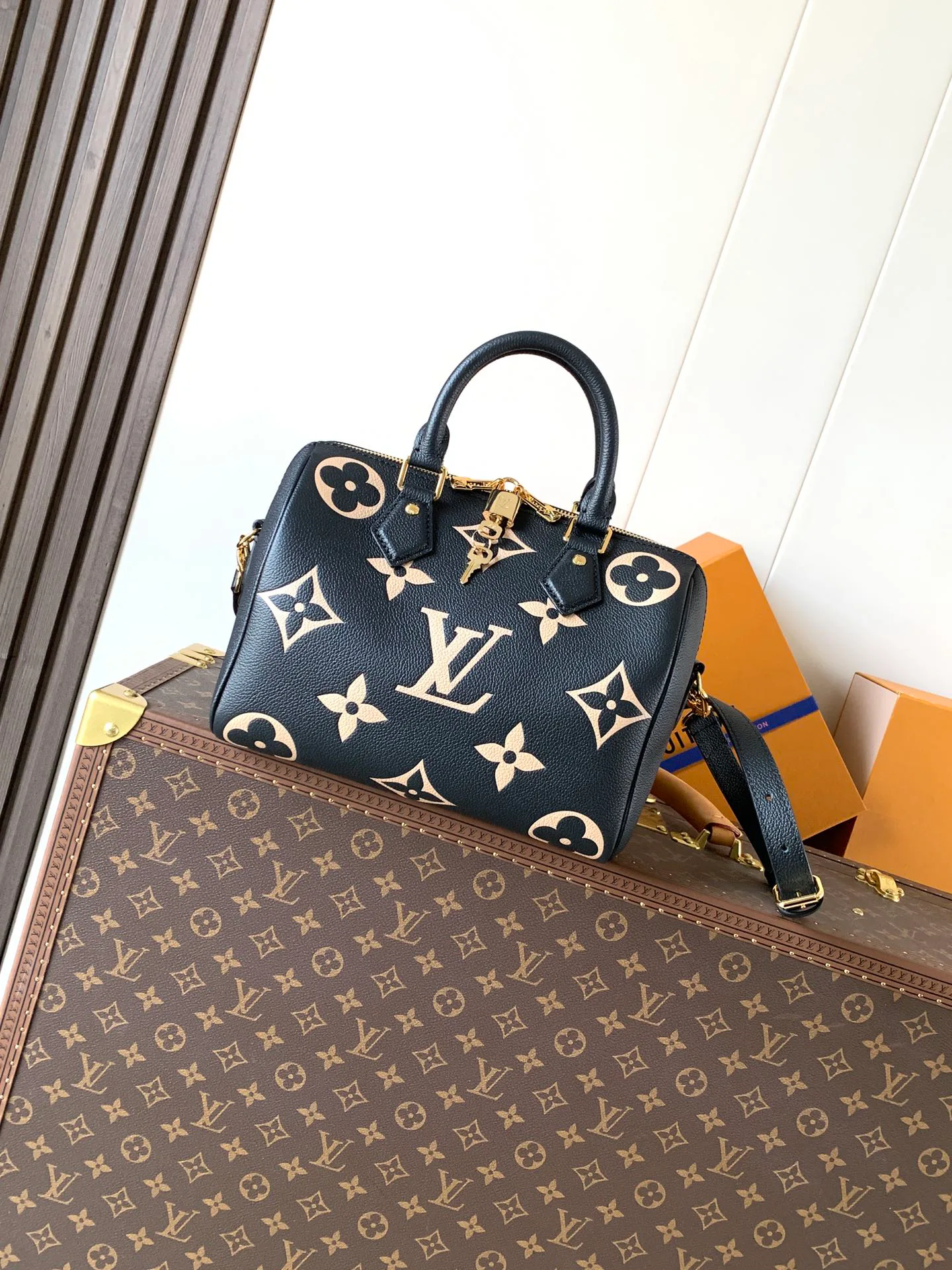 Классические Сумки Женские Louis Vuitton 11488637