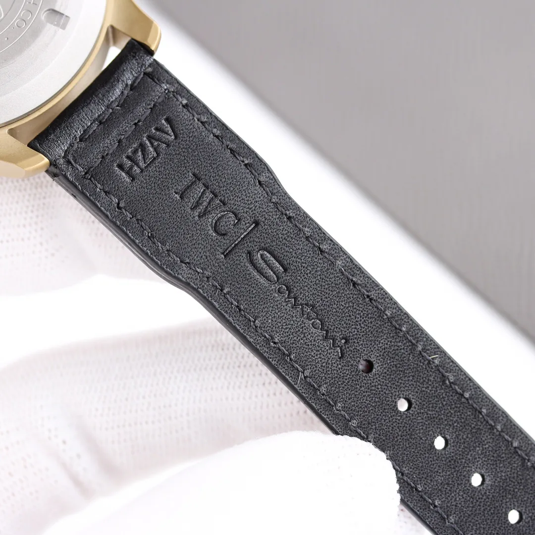 Часы Мужские Iwc 5564887