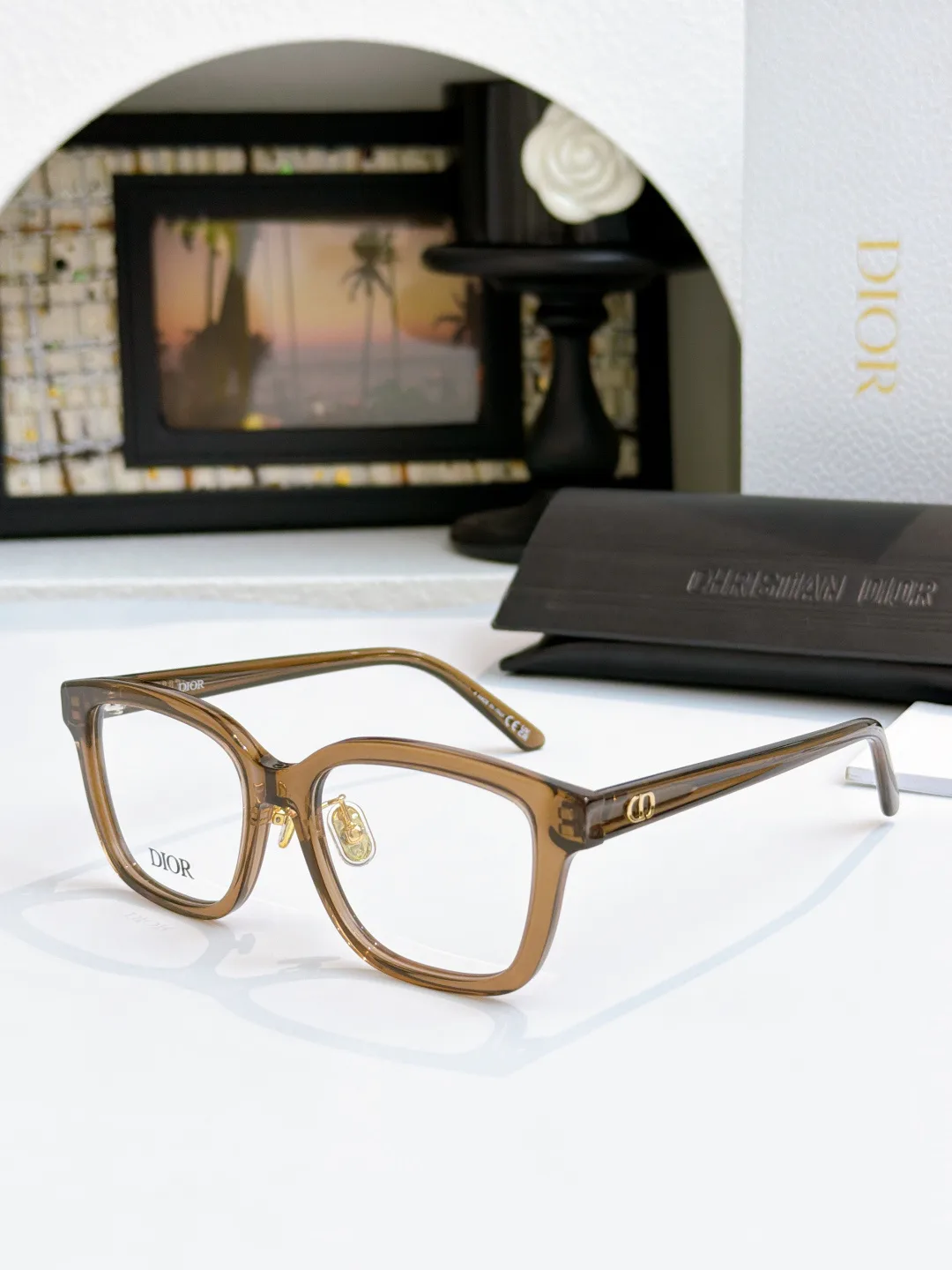 Очки Christian Dior 17977751