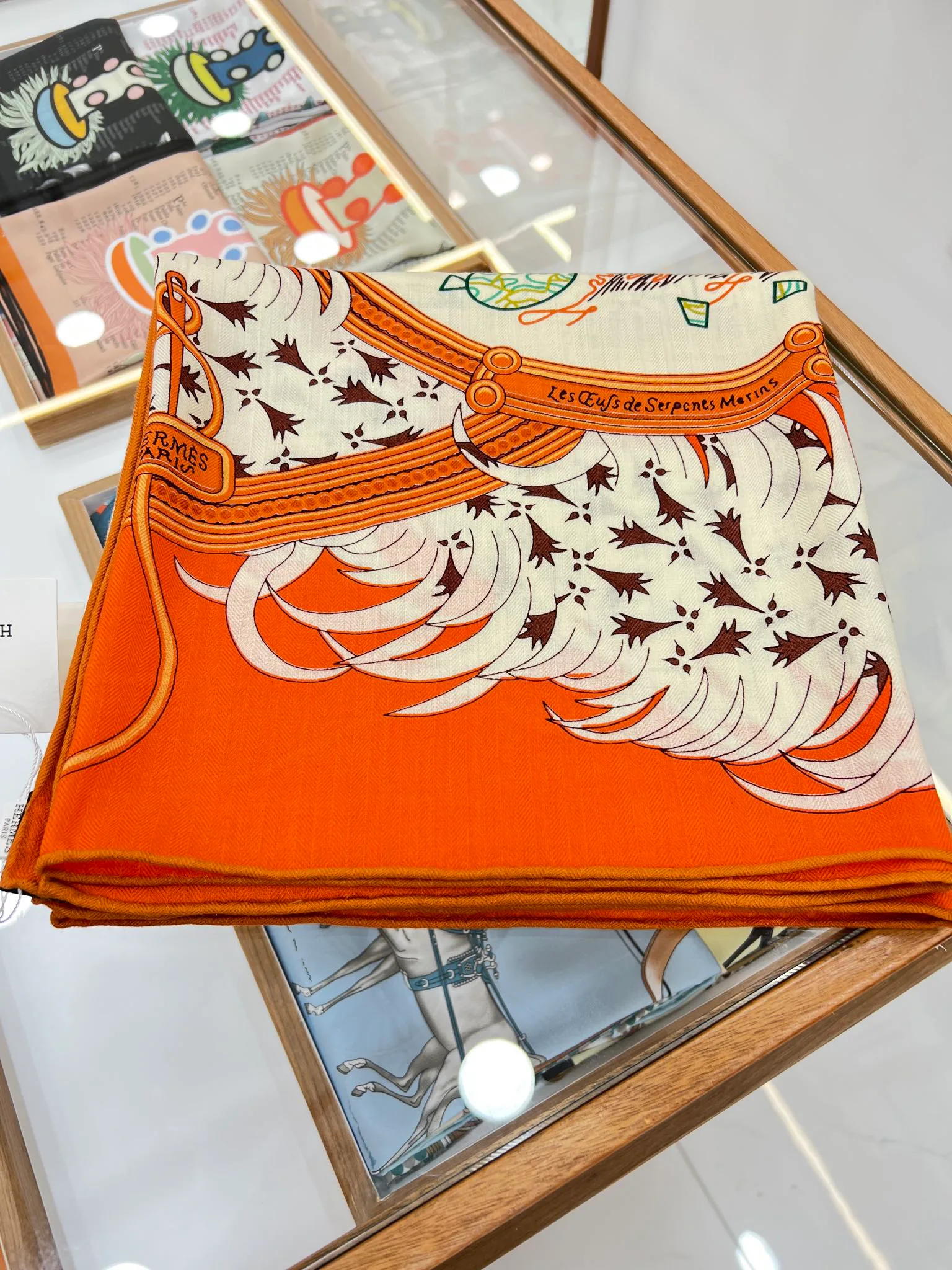 Платки Hermes 251493