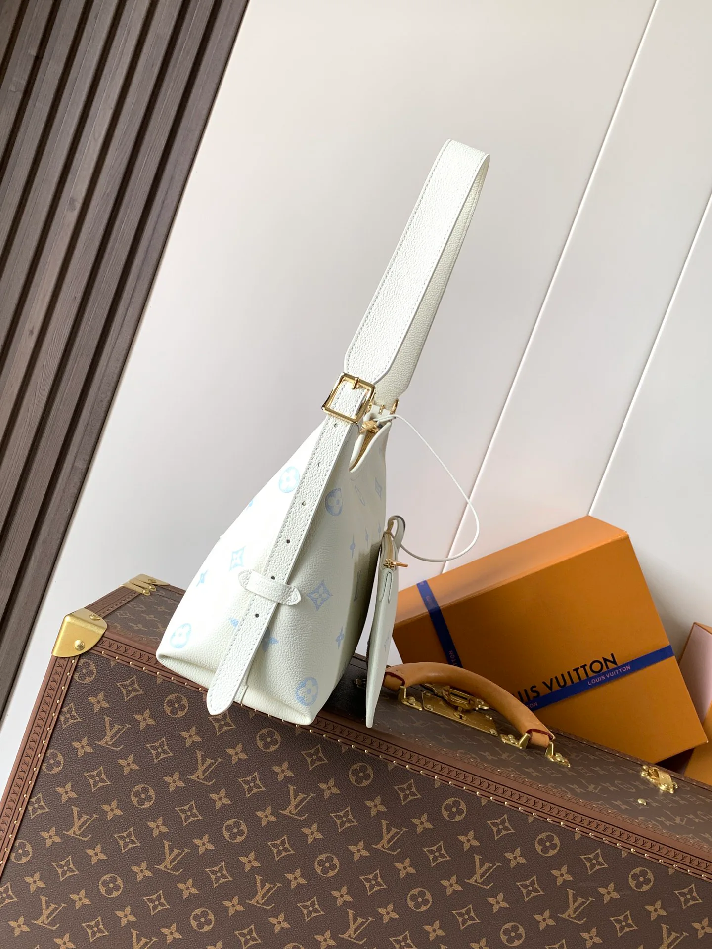 Классические Сумки Женские Louis Vuitton 11872289