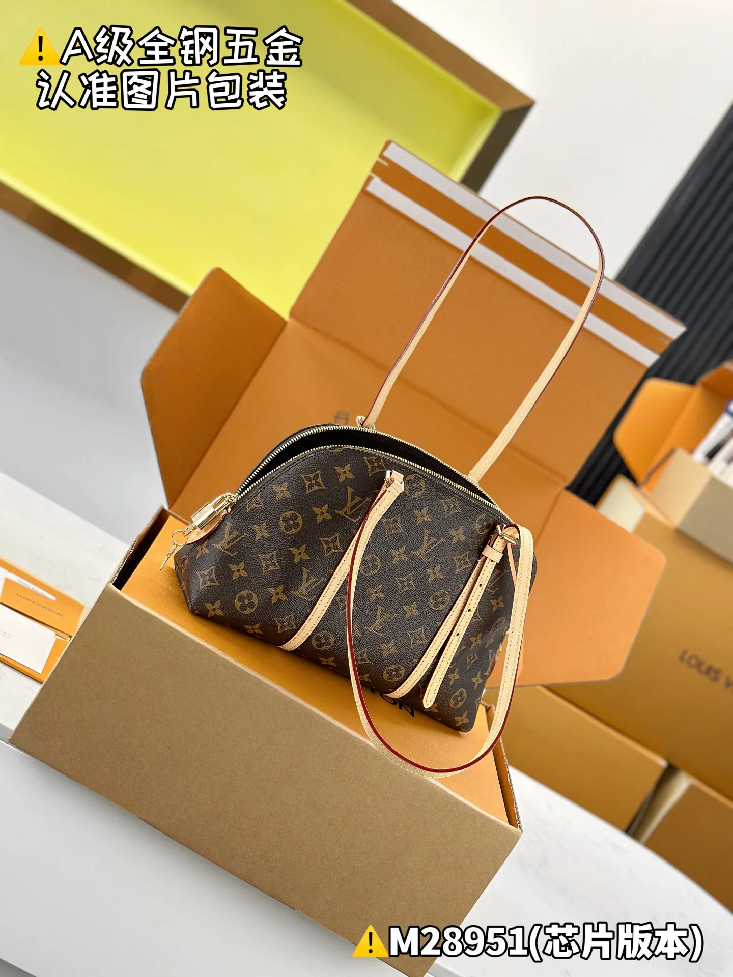 Классические Сумки Женские Louis Vuitton 13558825
