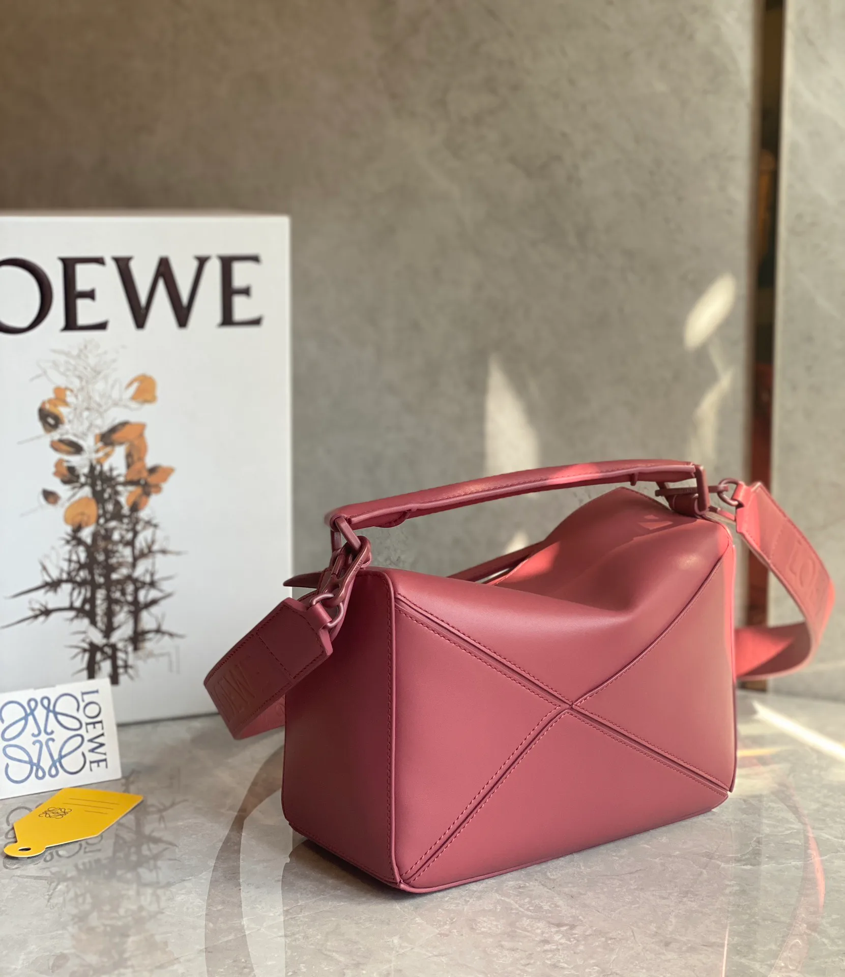 Классические Сумки Женские Loewe 10986849