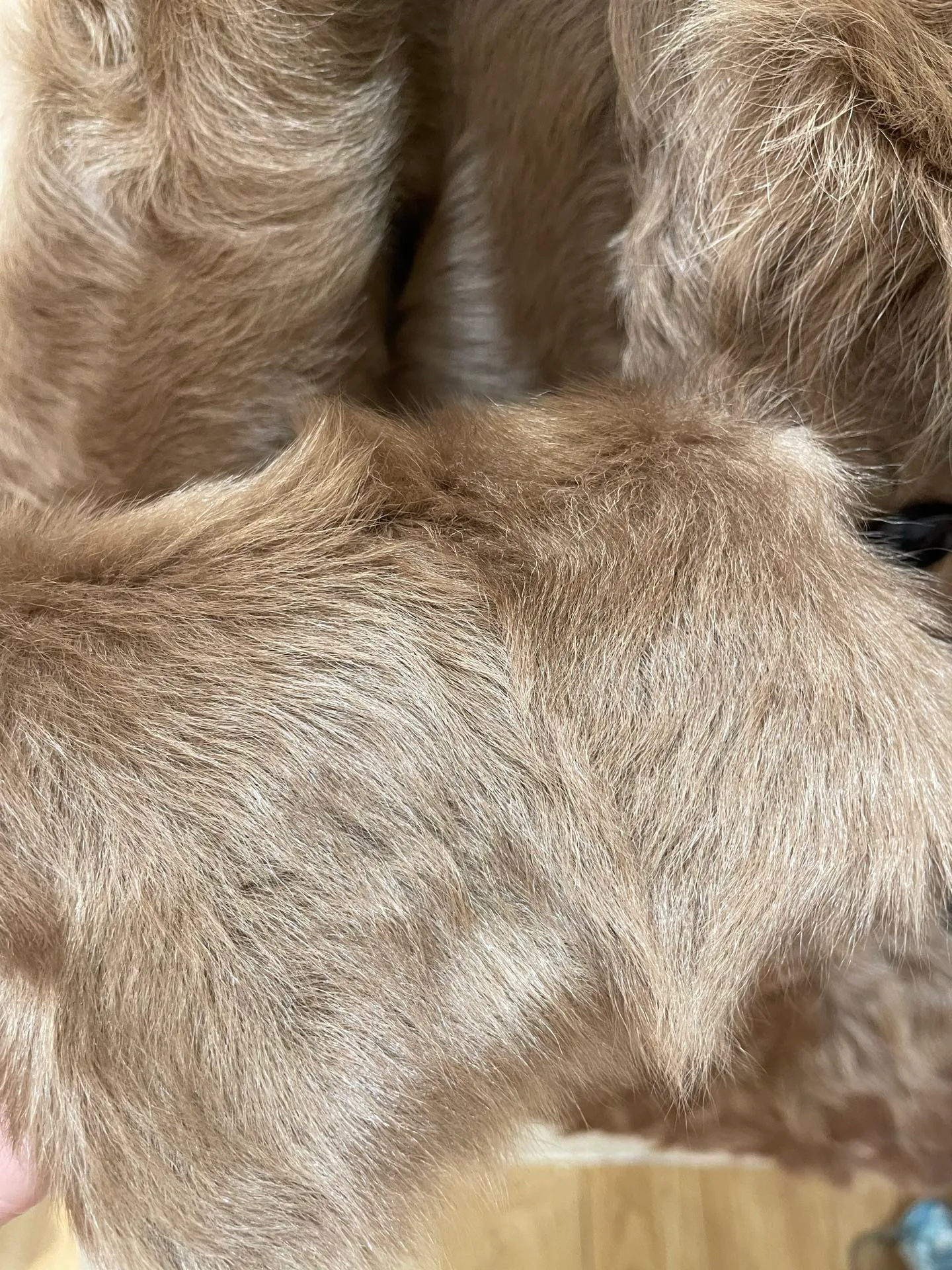 Шубы Женские Brunello Cucinelli 70972