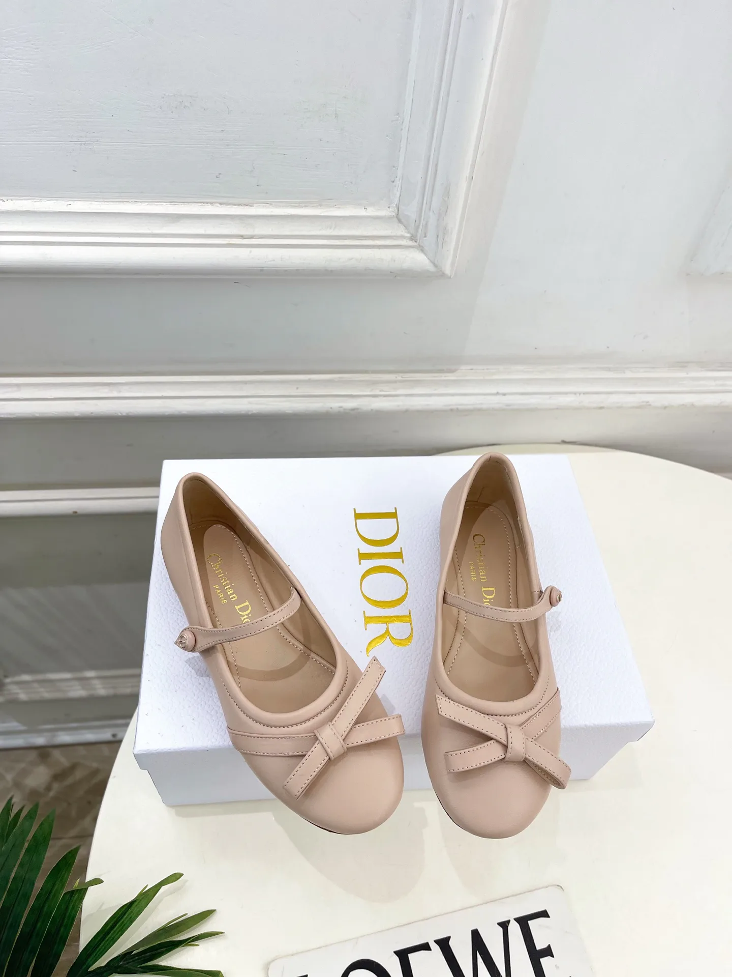 Туфли Женские Christian Dior 12601469