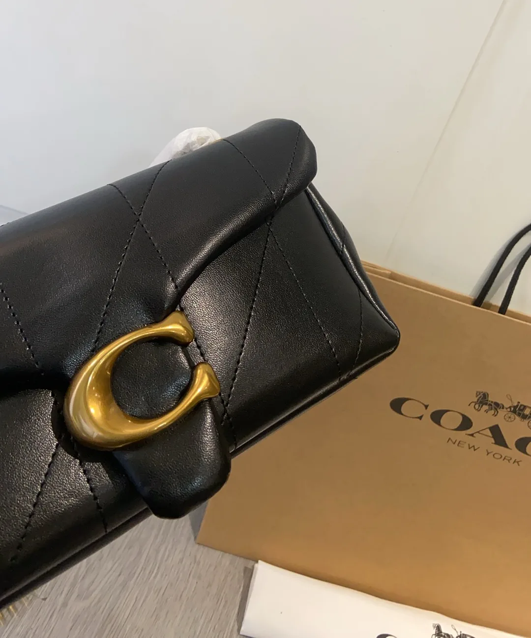 Классические Сумки Женские Coach 623307