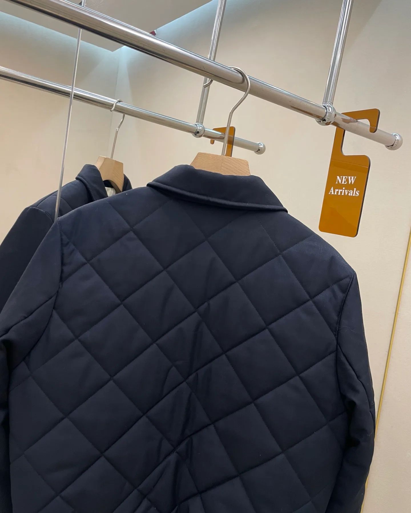 Куртки Женские Loro Piana 600059