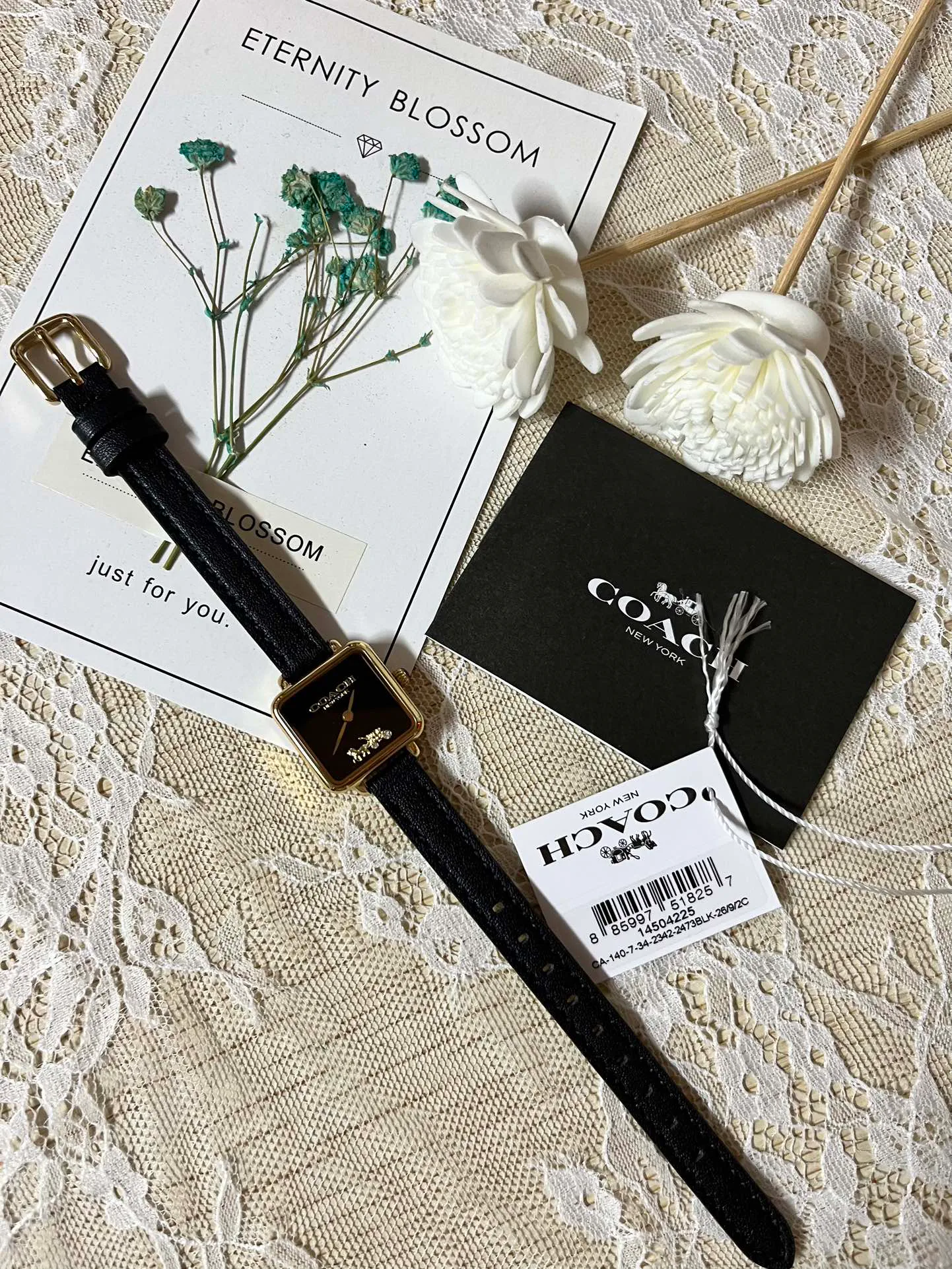 Часы Женские Coach 1880655