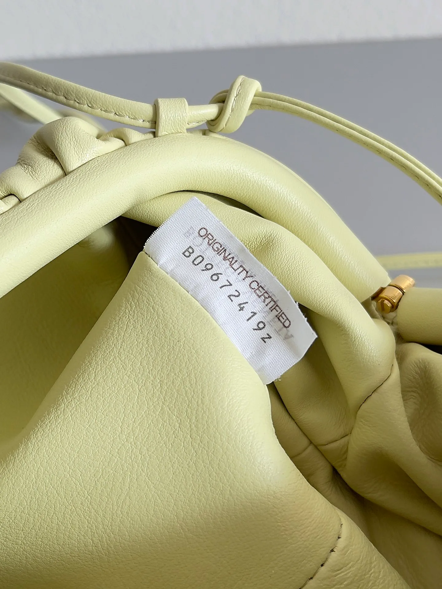Сумки На Ремне Женские Bottega Veneta 106917