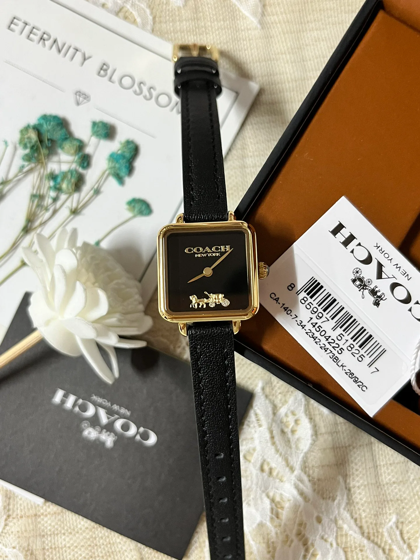 Часы Женские Coach 1288113