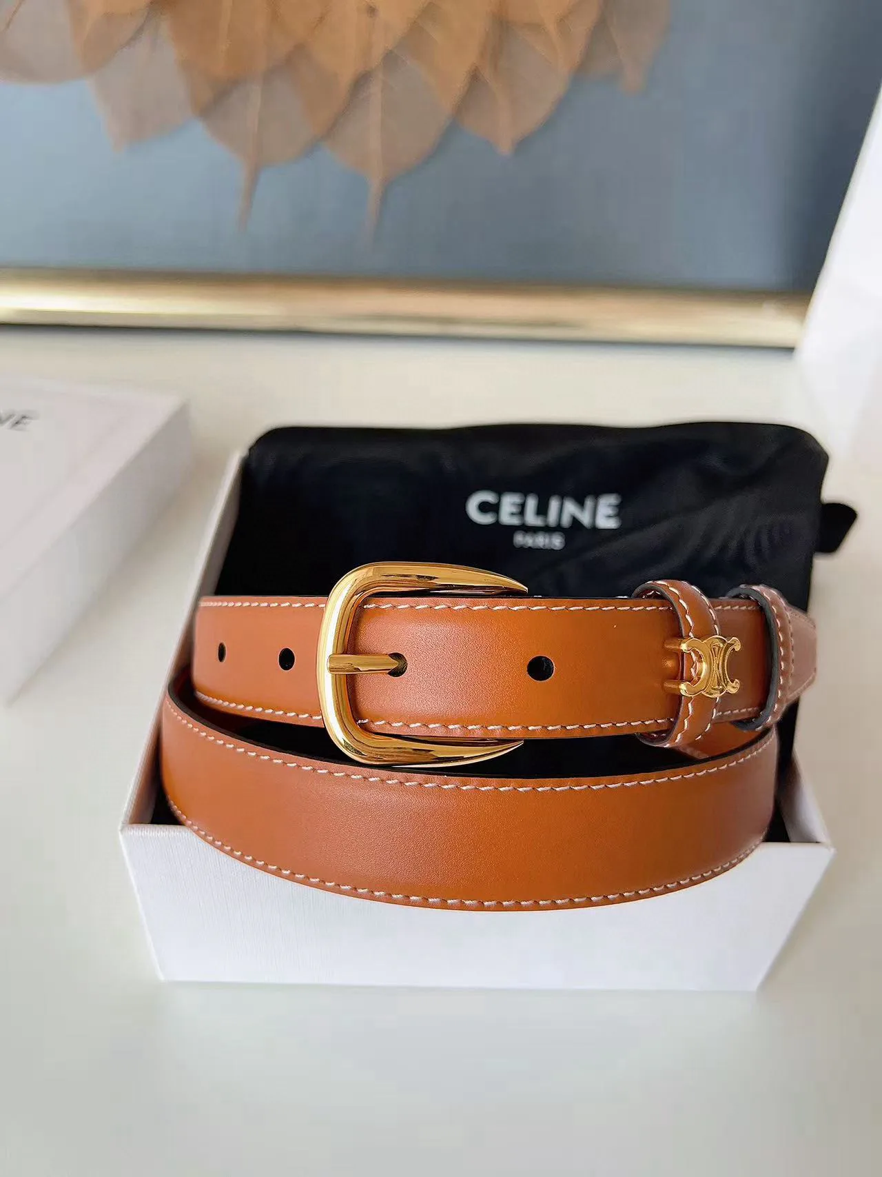 Поясные Сумки Женские Celine 11886360
