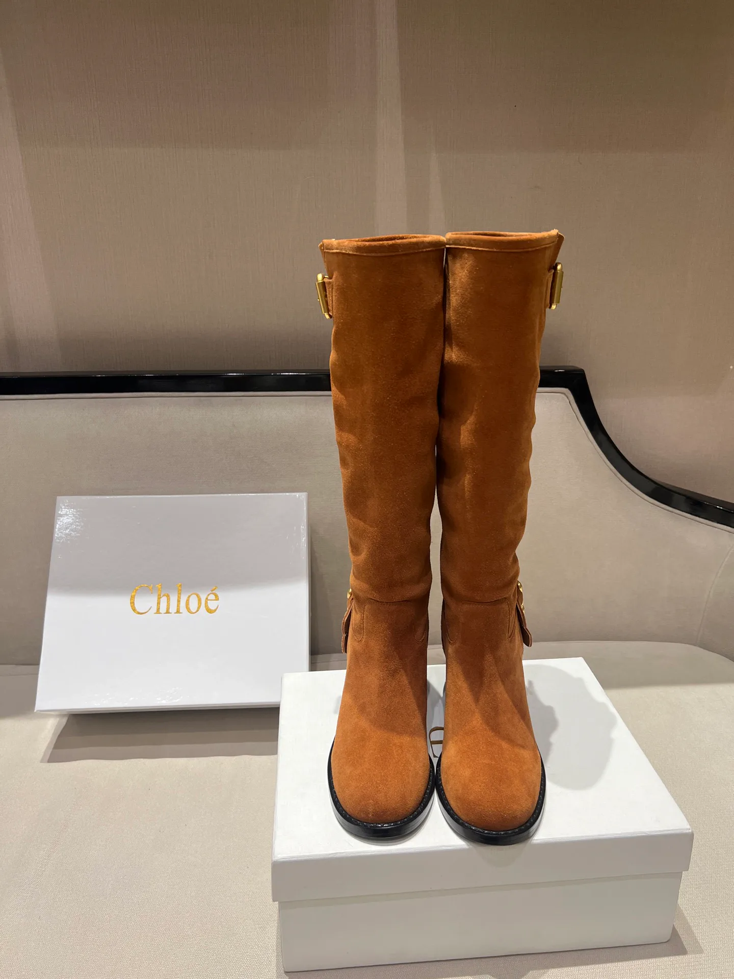 Сапоги Женские Chloe 18020166