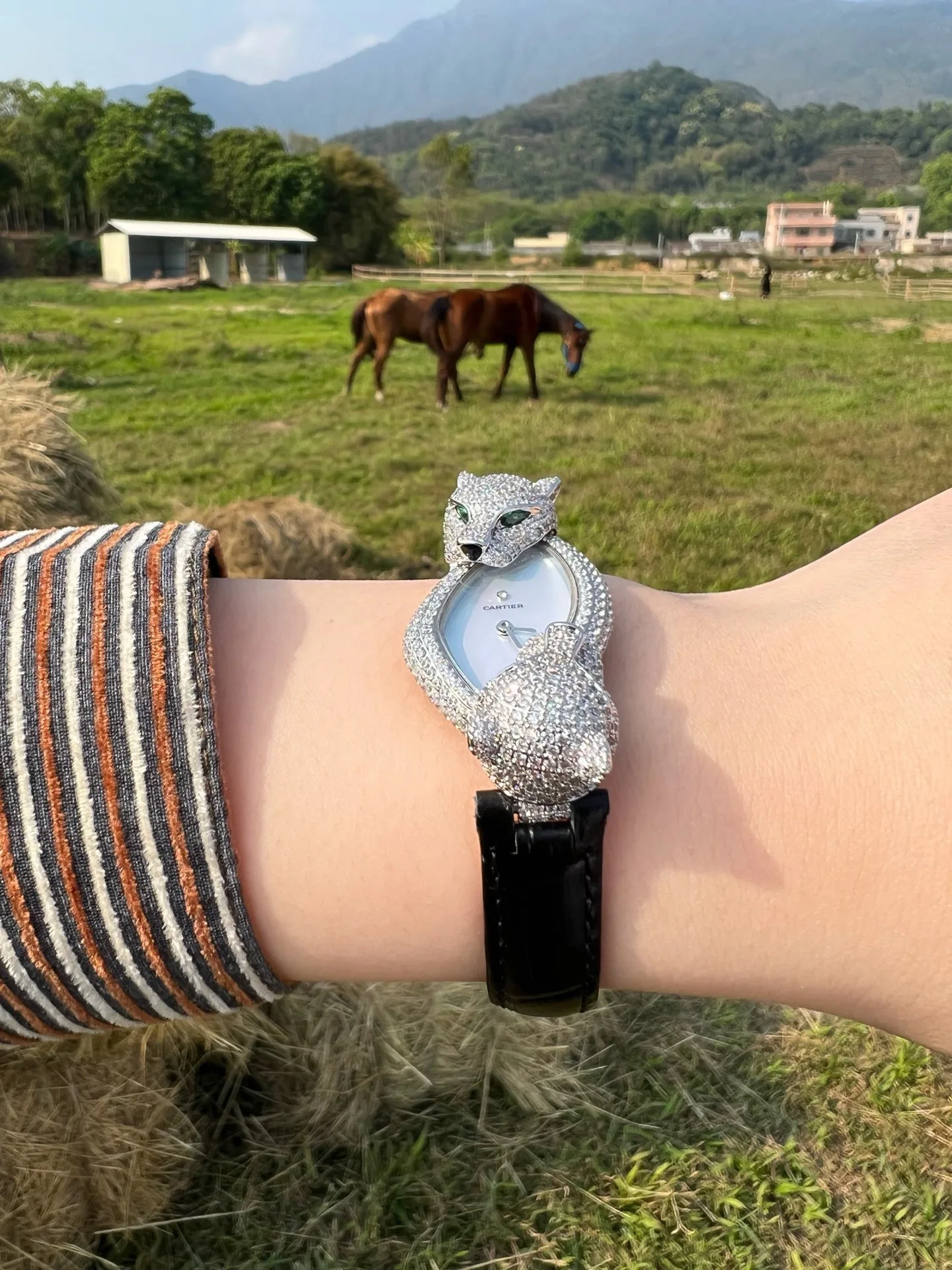 Часы Женские Cartier 11665254