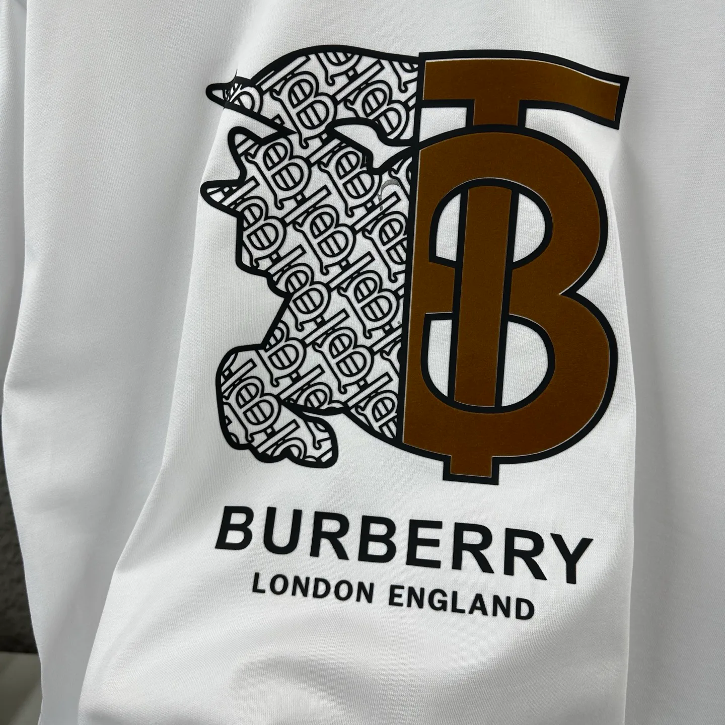 Футболки Мужские Burberry 1452306