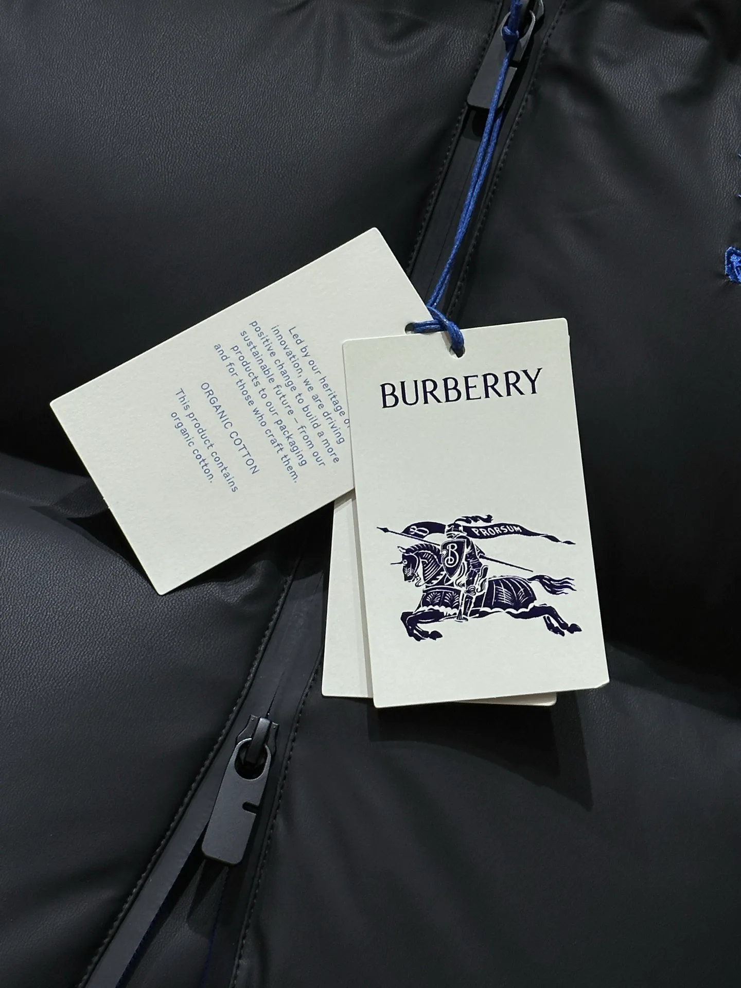Куртки И Пуховики Мужские Burberry 928001