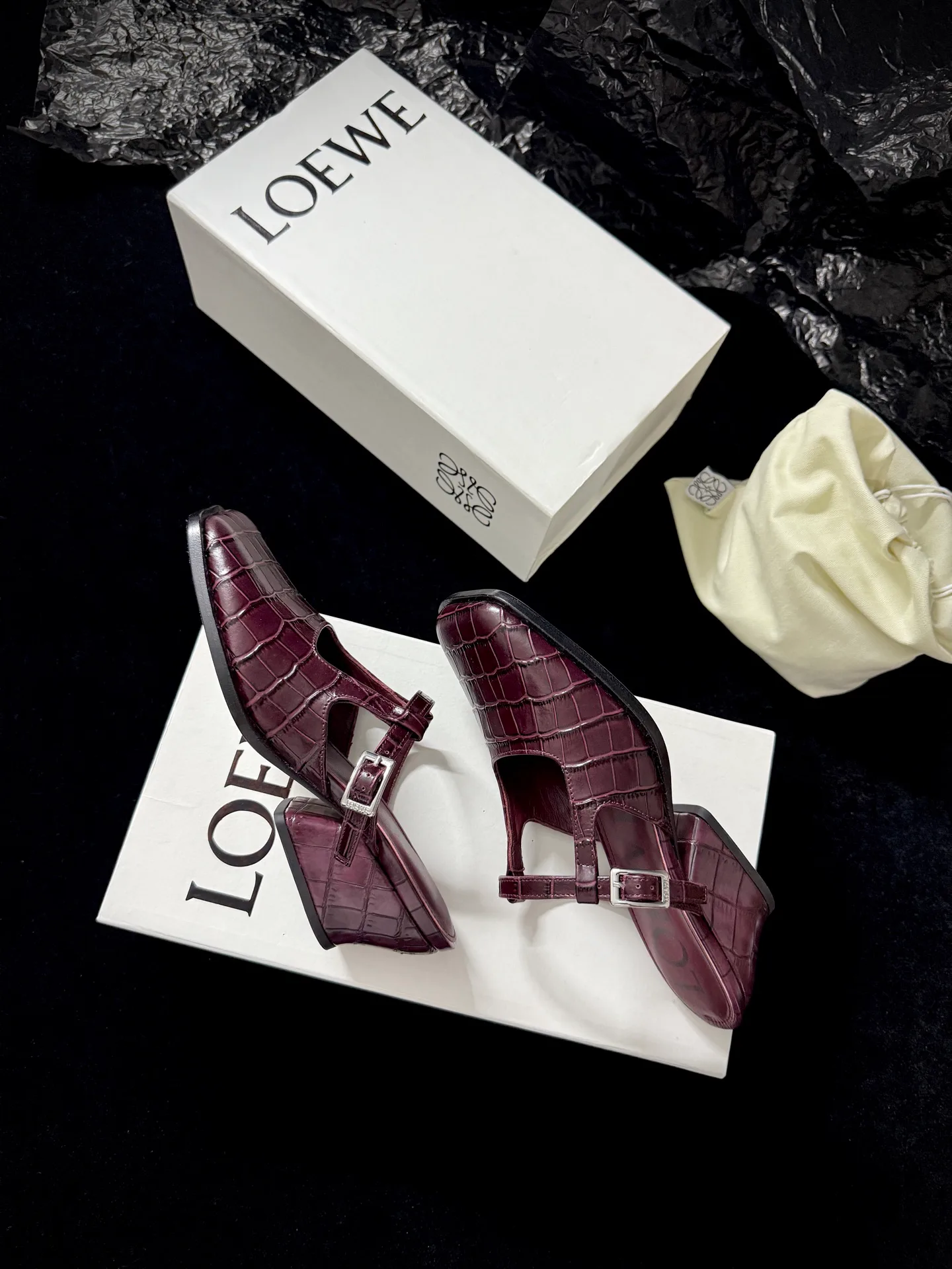 Туфли Женские Loewe 11531074