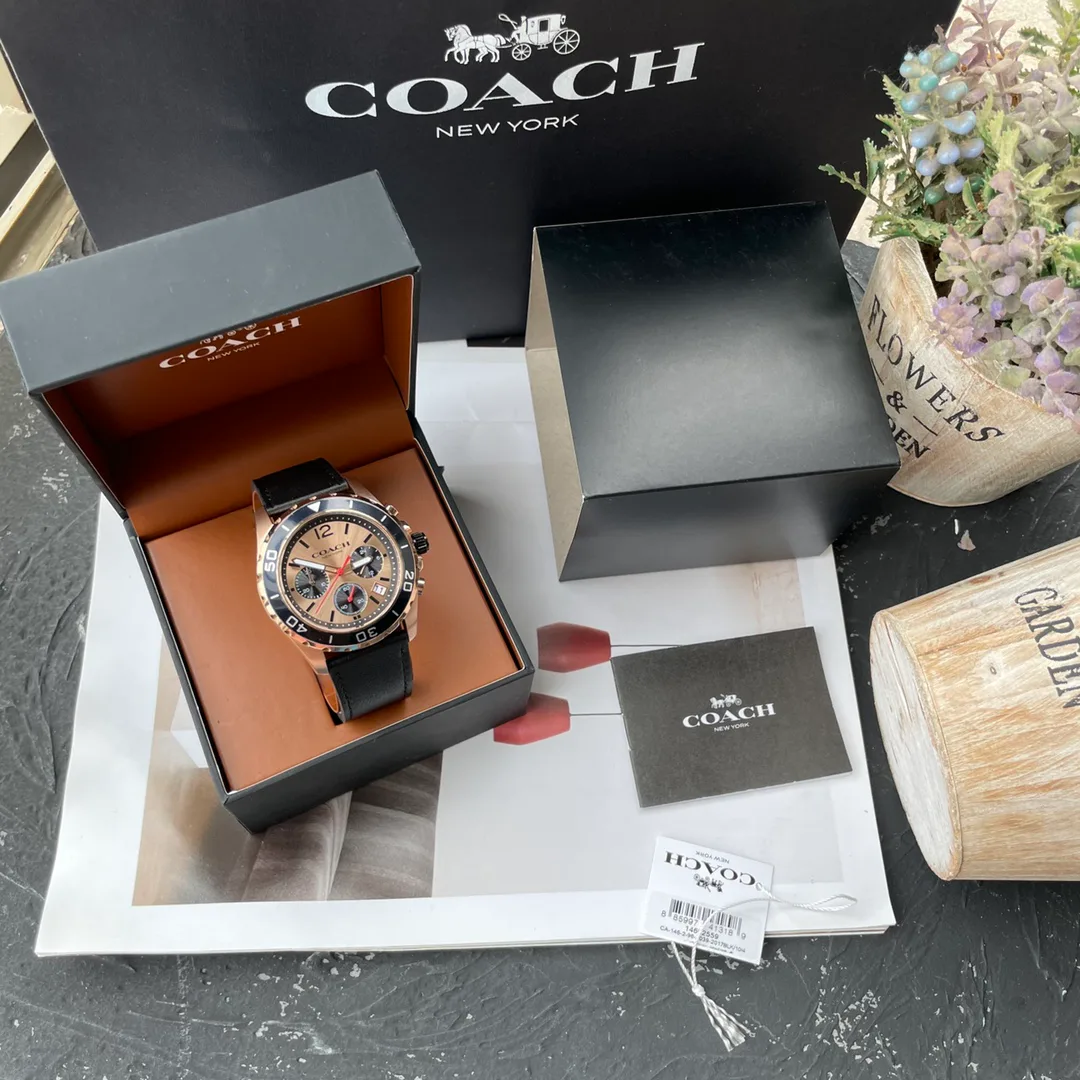 Часы Мужские Coach 1880643