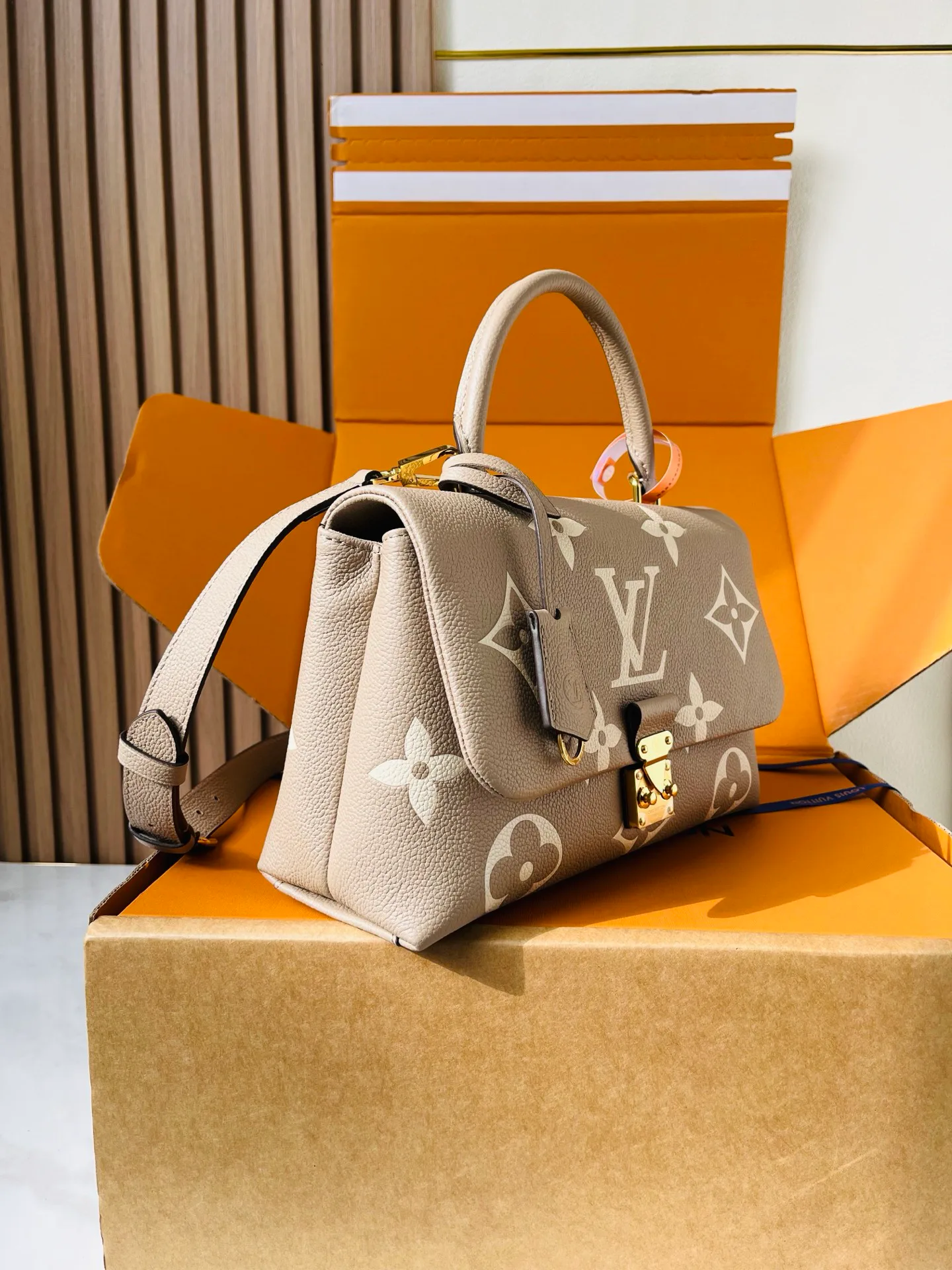 Классические Сумки Женские Louis Vuitton 12860029