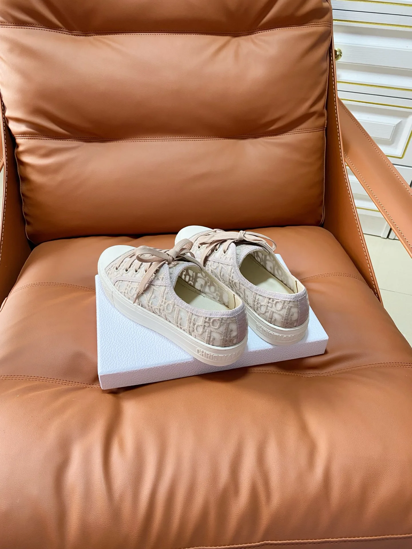 Кеды Женские Christian Dior 13454351