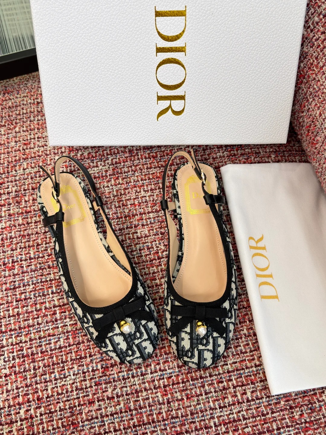 Туфли Женские Christian Dior 17571620