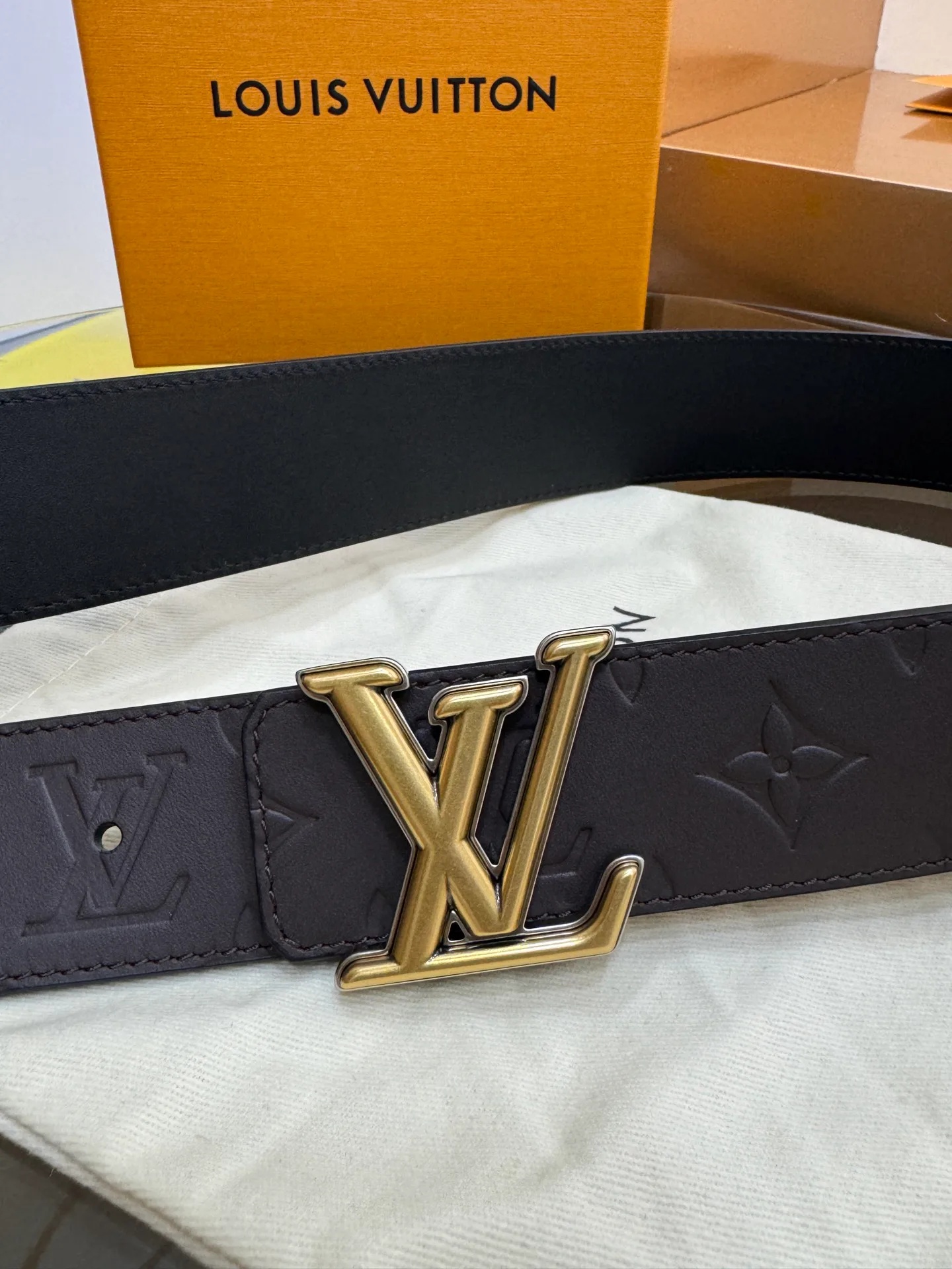 Поясные Сумки Женские Louis Vuitton 10754619