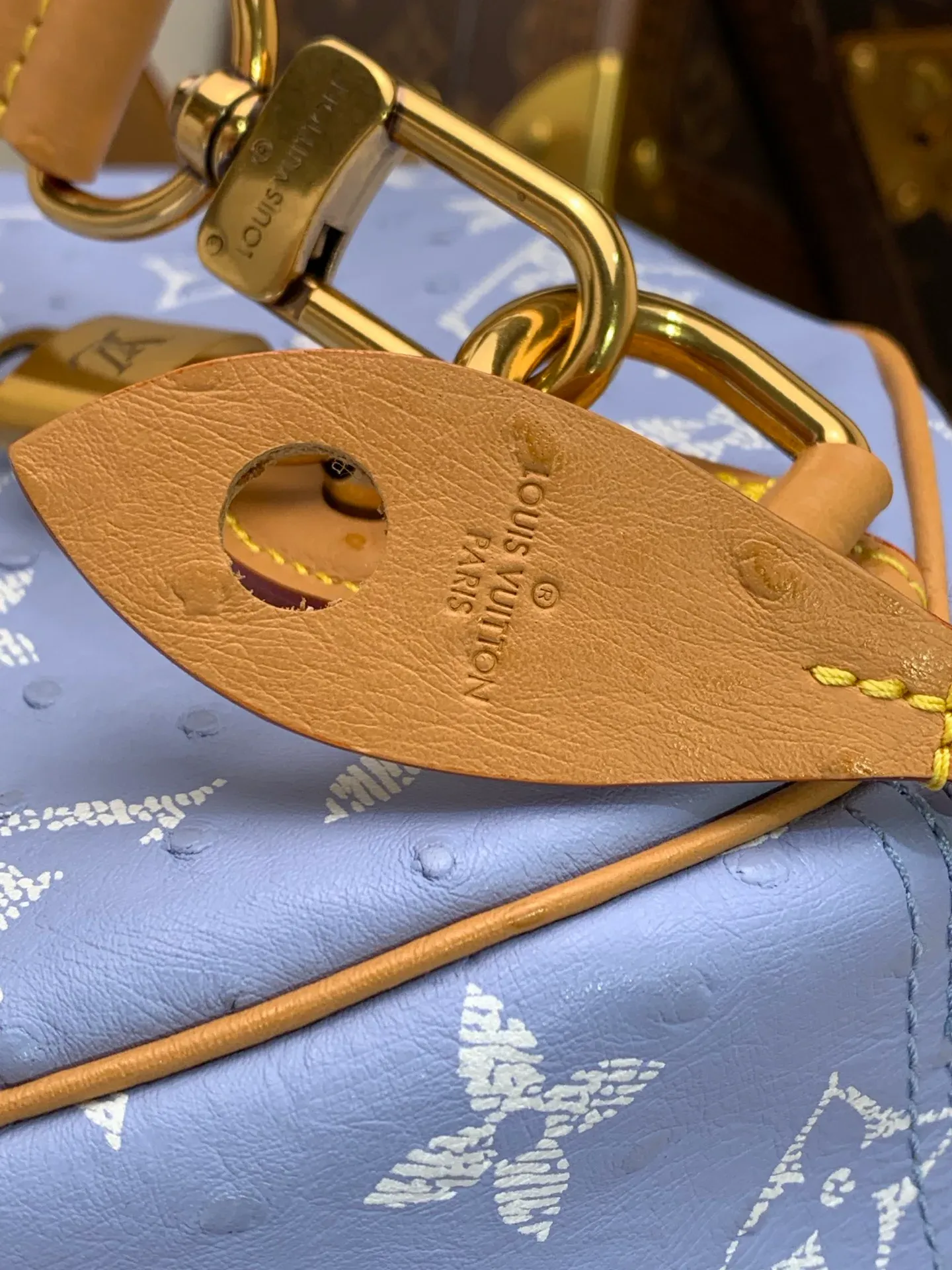 Сумки На Ремне Женские Louis Vuitton 256511