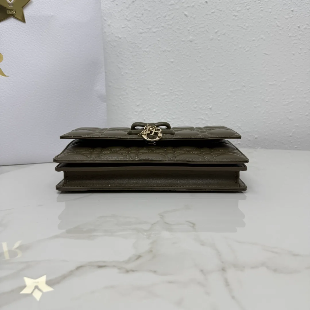 Классические Сумки Женские Christian Dior 18116381