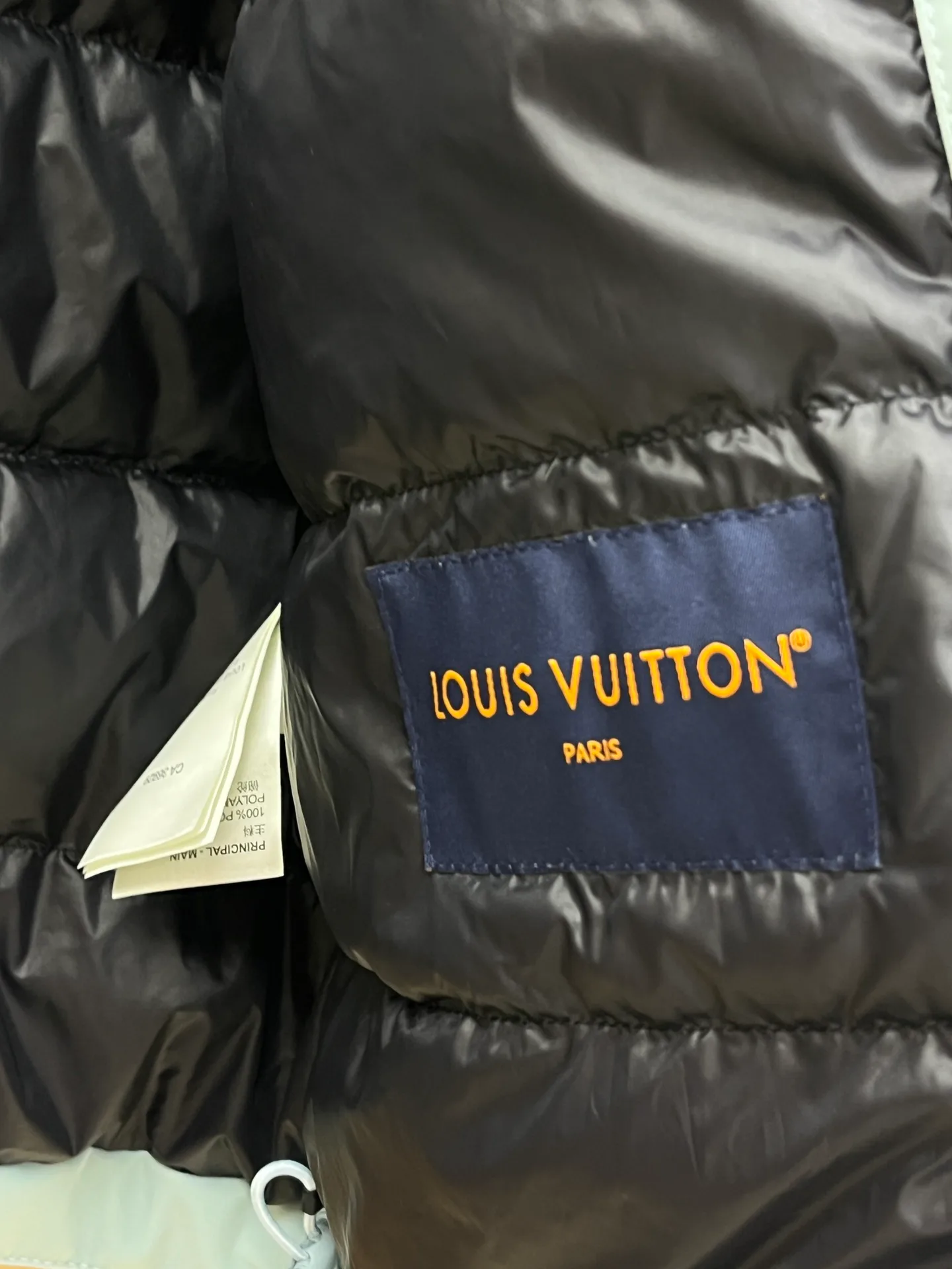 Куртки И Пуховики Мужские Louis Vuitton 619183