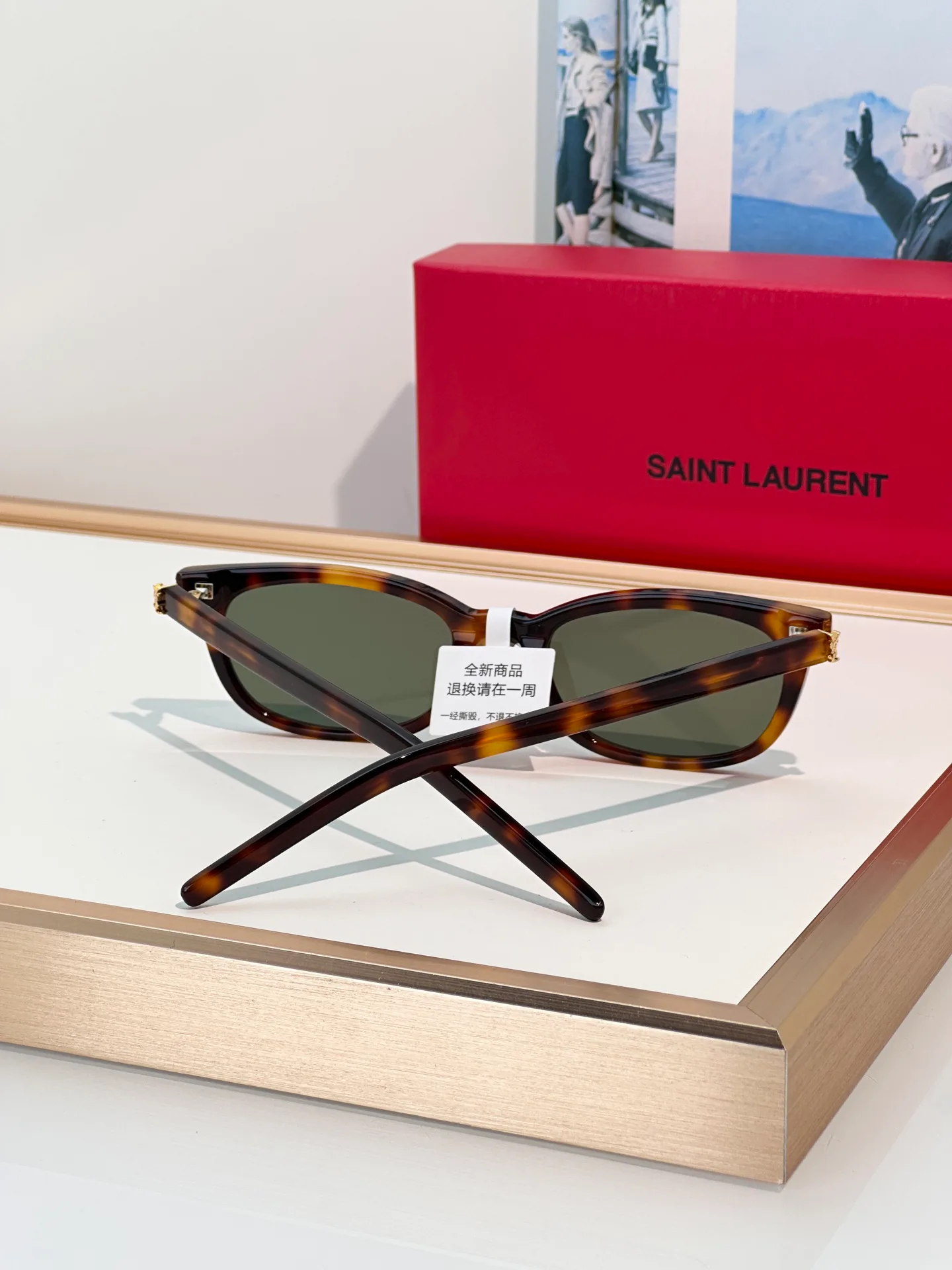 Очки Saint Laurent 18246145
