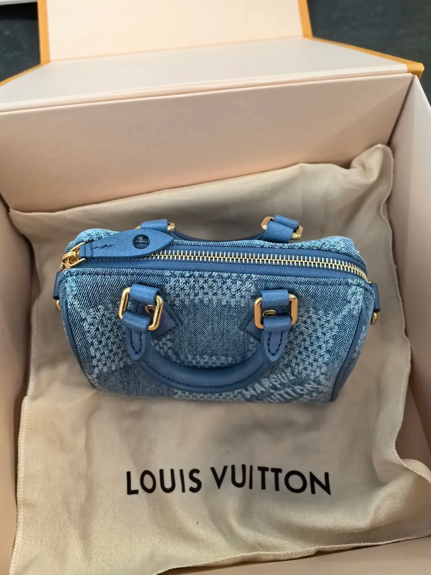 Классические Сумки Женские Louis Vuitton 13394417