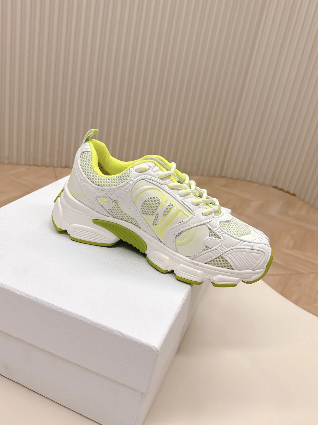 Кроссовки Женские Christian Dior 22101