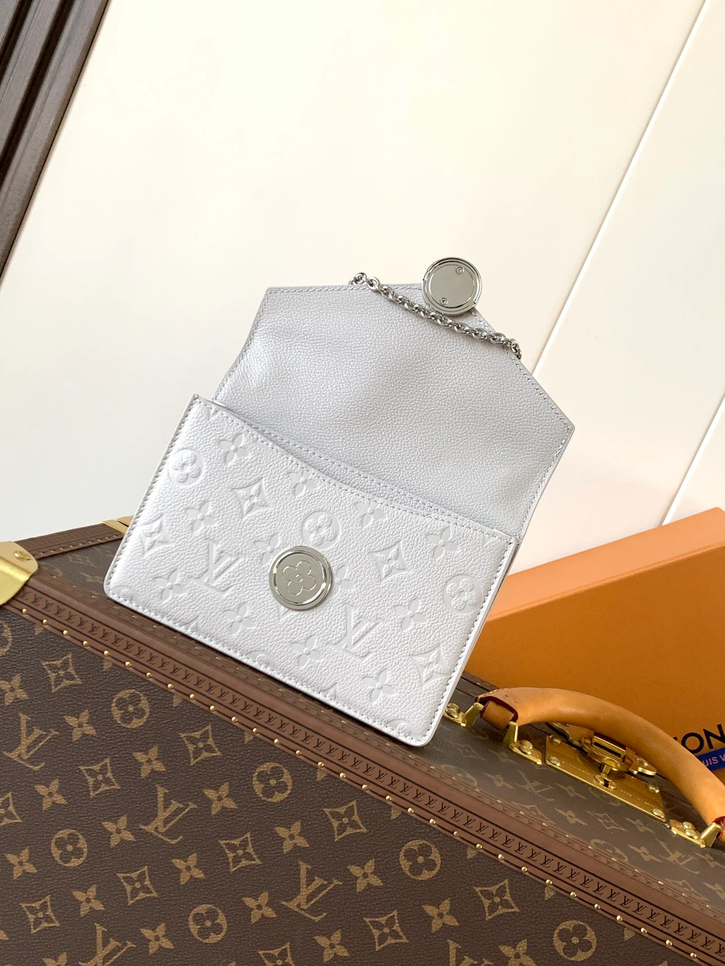 Клатчи Женские Louis Vuitton 11152602