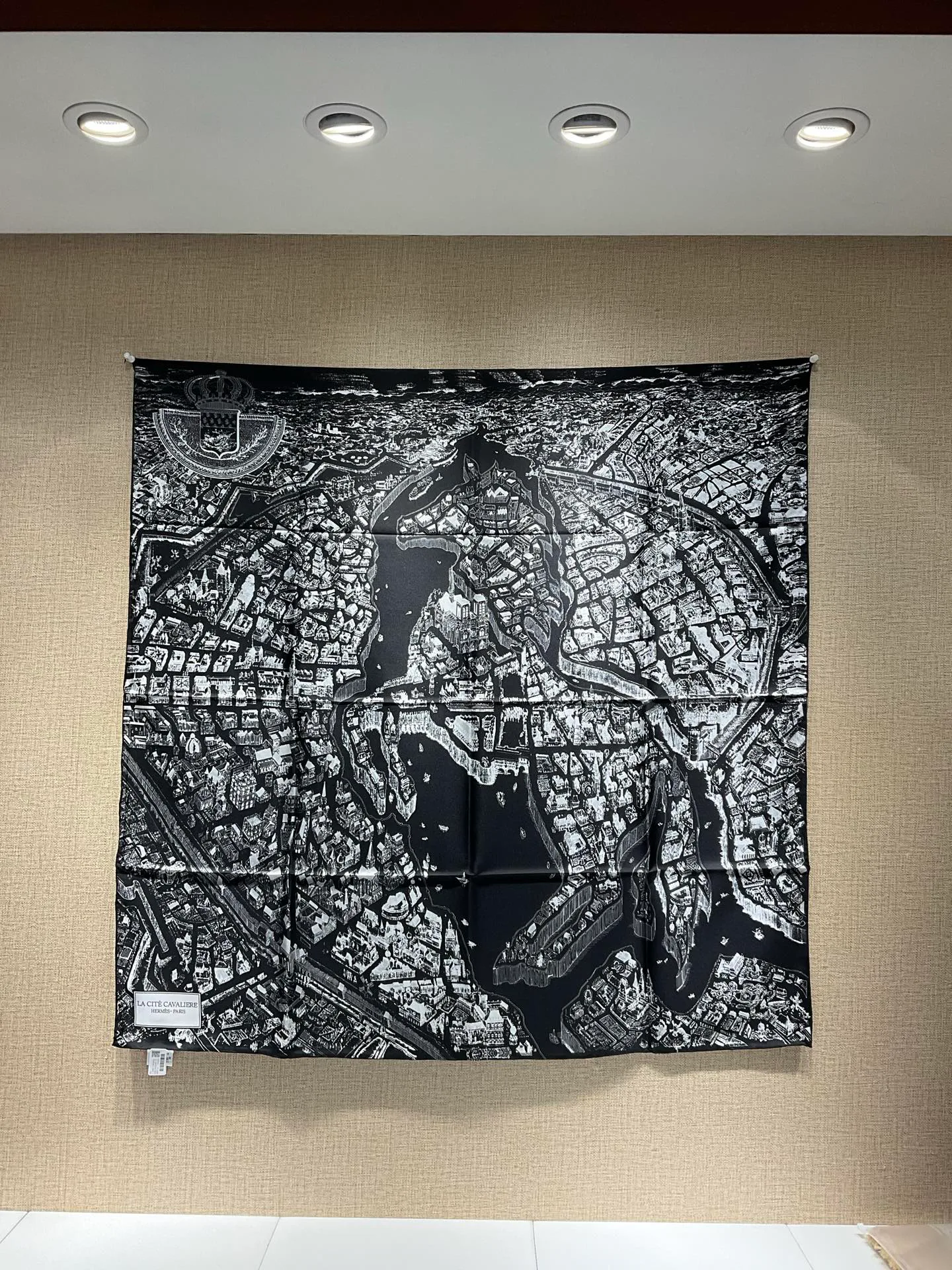Шарфы Loro Piana 12683958