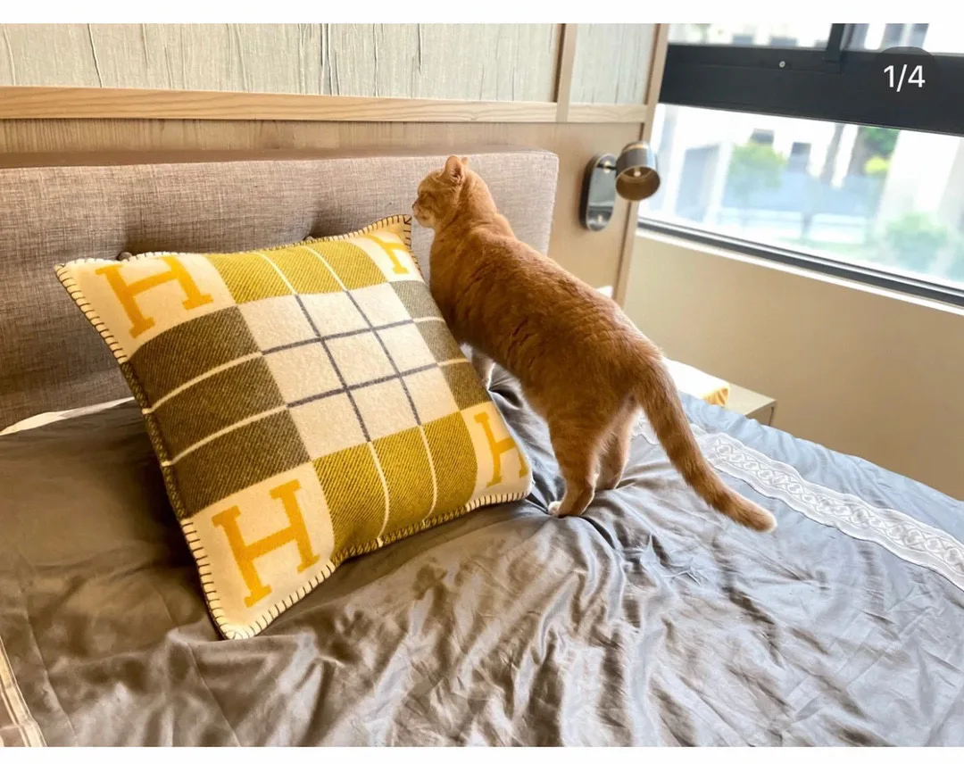 Текстиль Hermes 803559