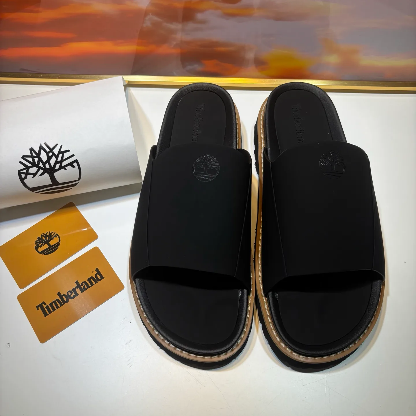 Шлепанцы Мужские Timberland 17955629