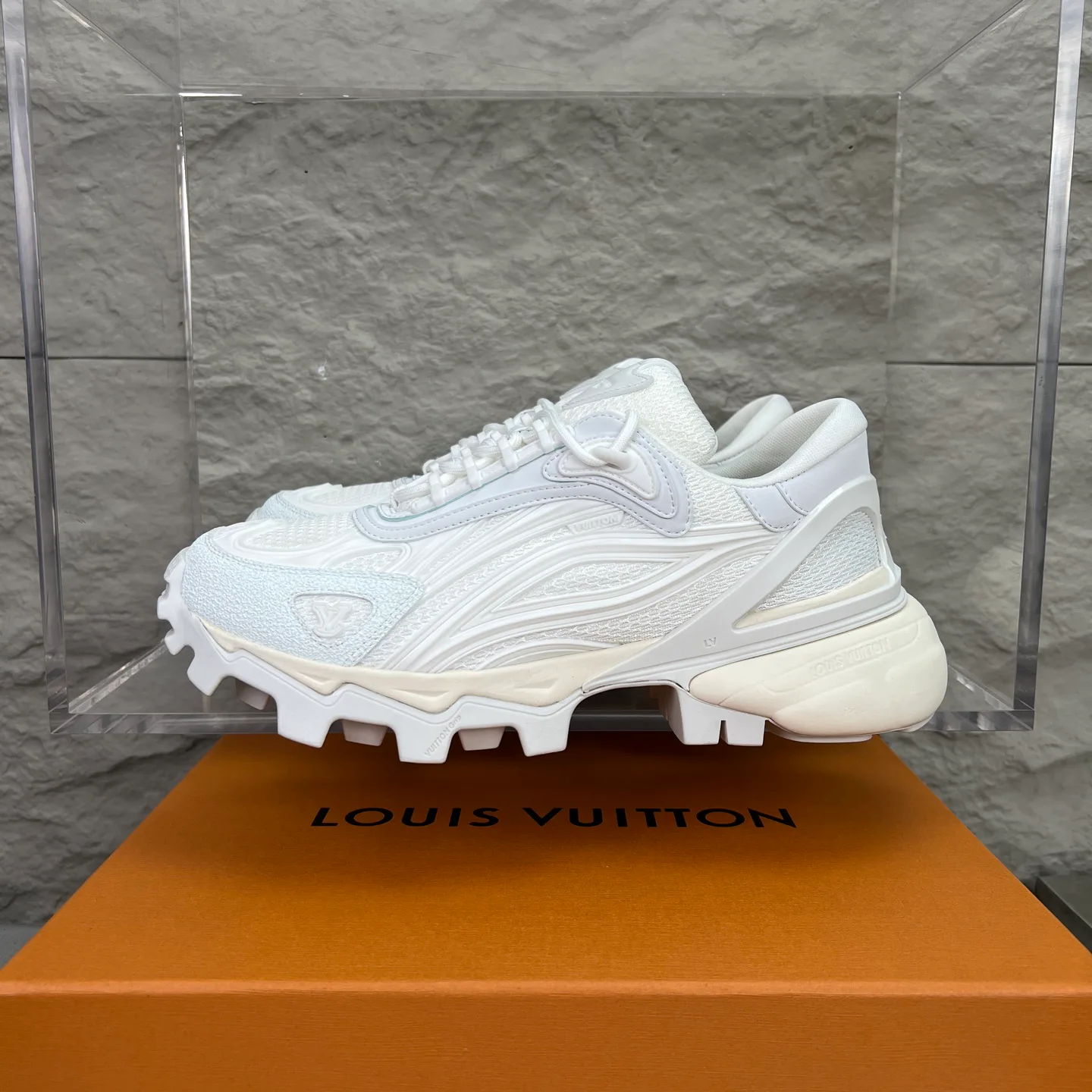 Кроссовки Мужские Louis Vuitton 4489114